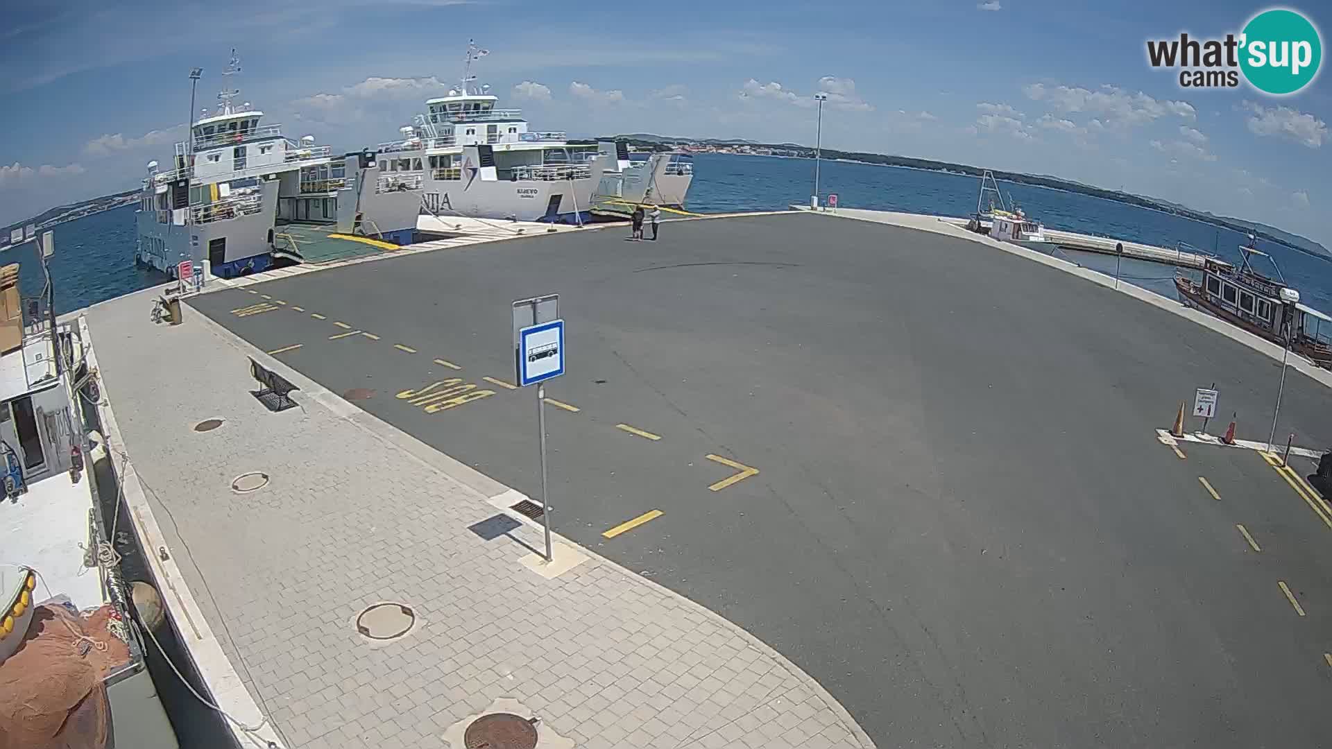 Tkon u živo – trajekt – Dalmacija