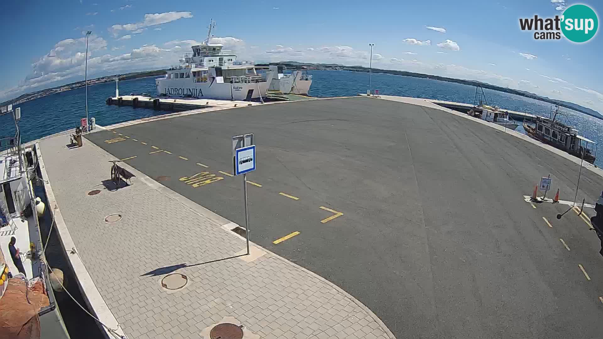 Tkon v živo – trajekt – Dalmacija – Hrvaška