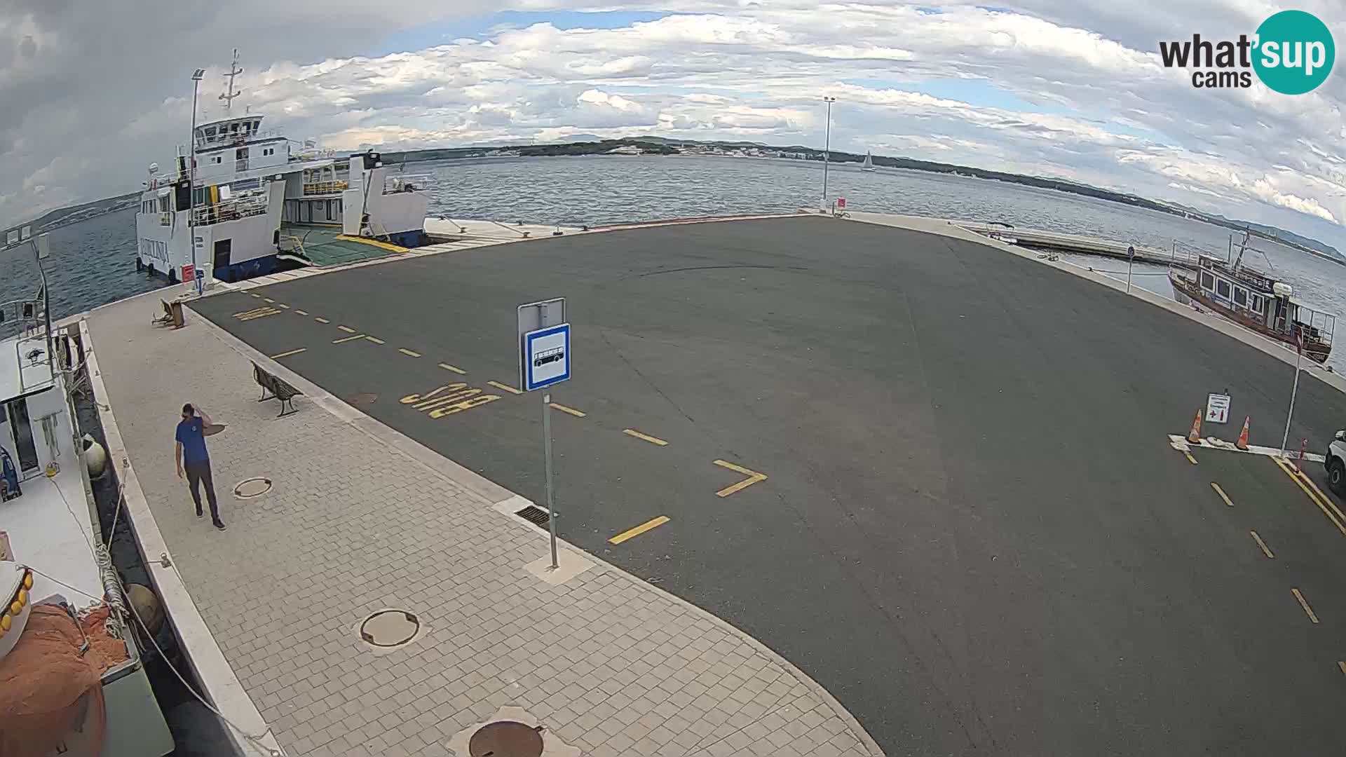 Tkon u živo – trajekt – Dalmacija
