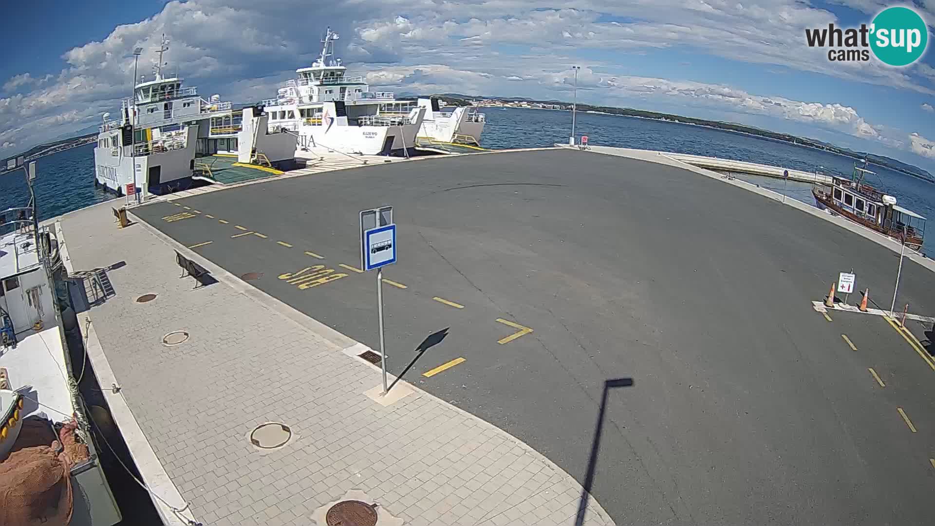 Tkon u živo – trajekt – Dalmacija