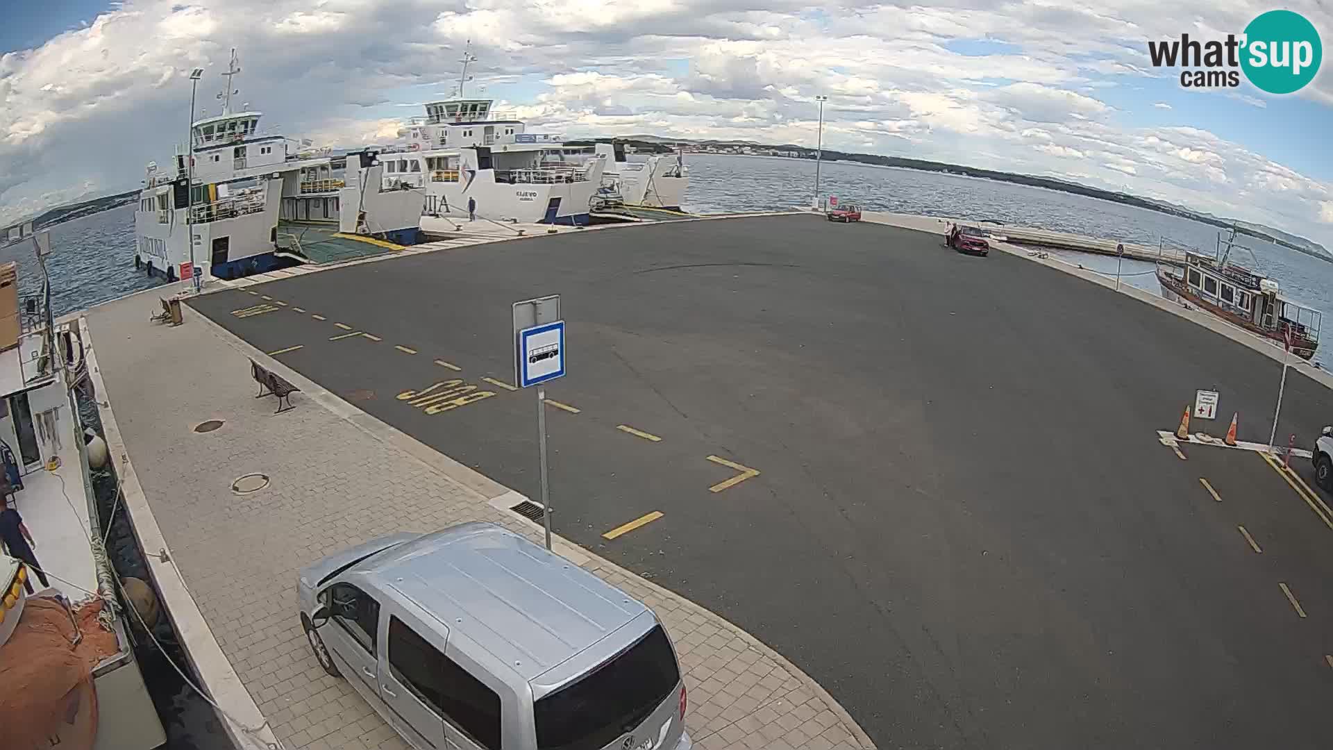 Tkon v živo – trajekt – Dalmacija – Hrvaška