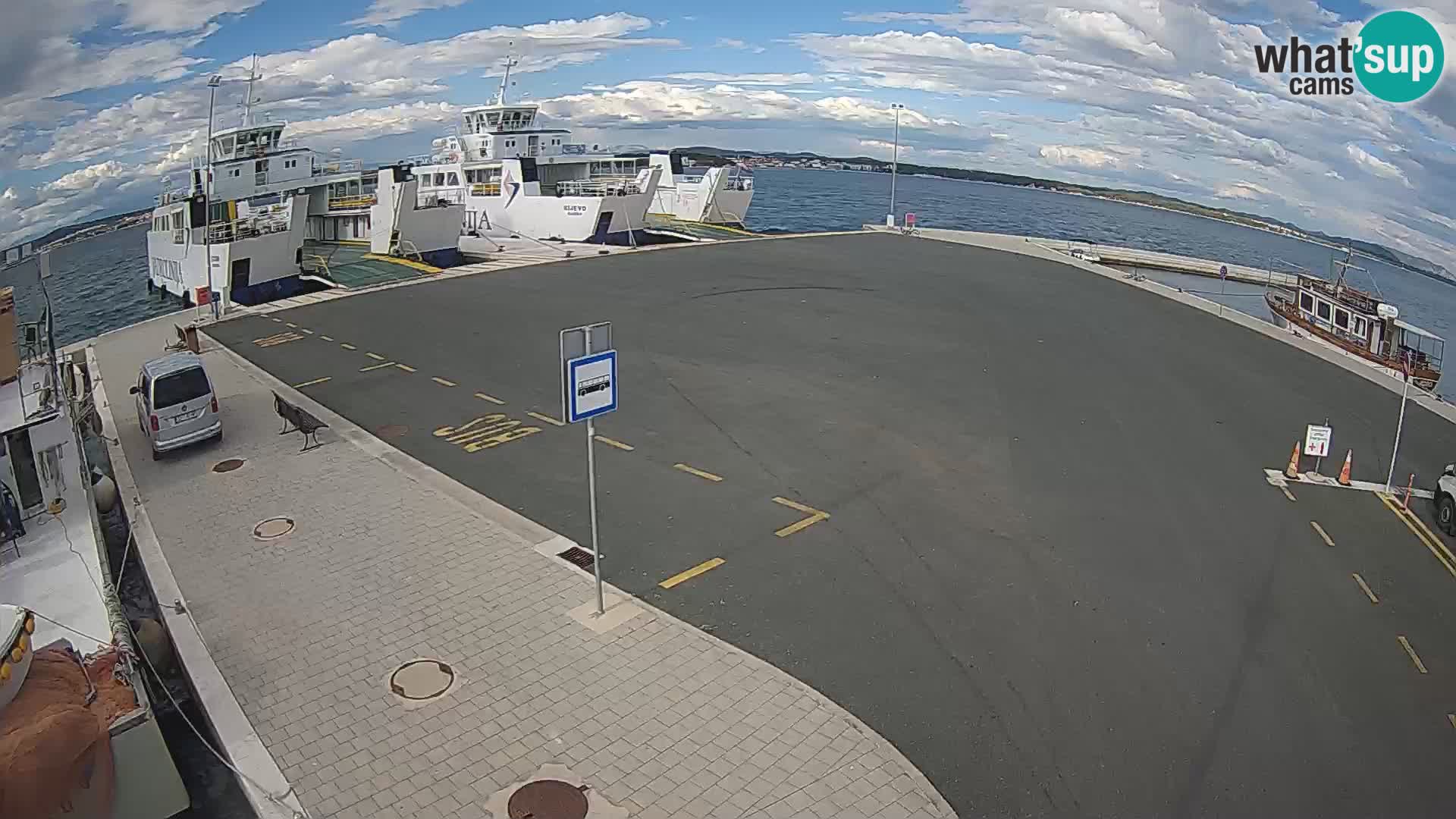 Tkon camera en vivo – Transportar – Dalmacia – Croacia