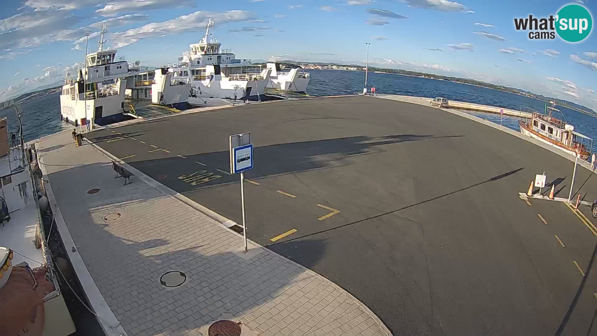 Tkon Live cam – ferry – Dalmatie – Croatie