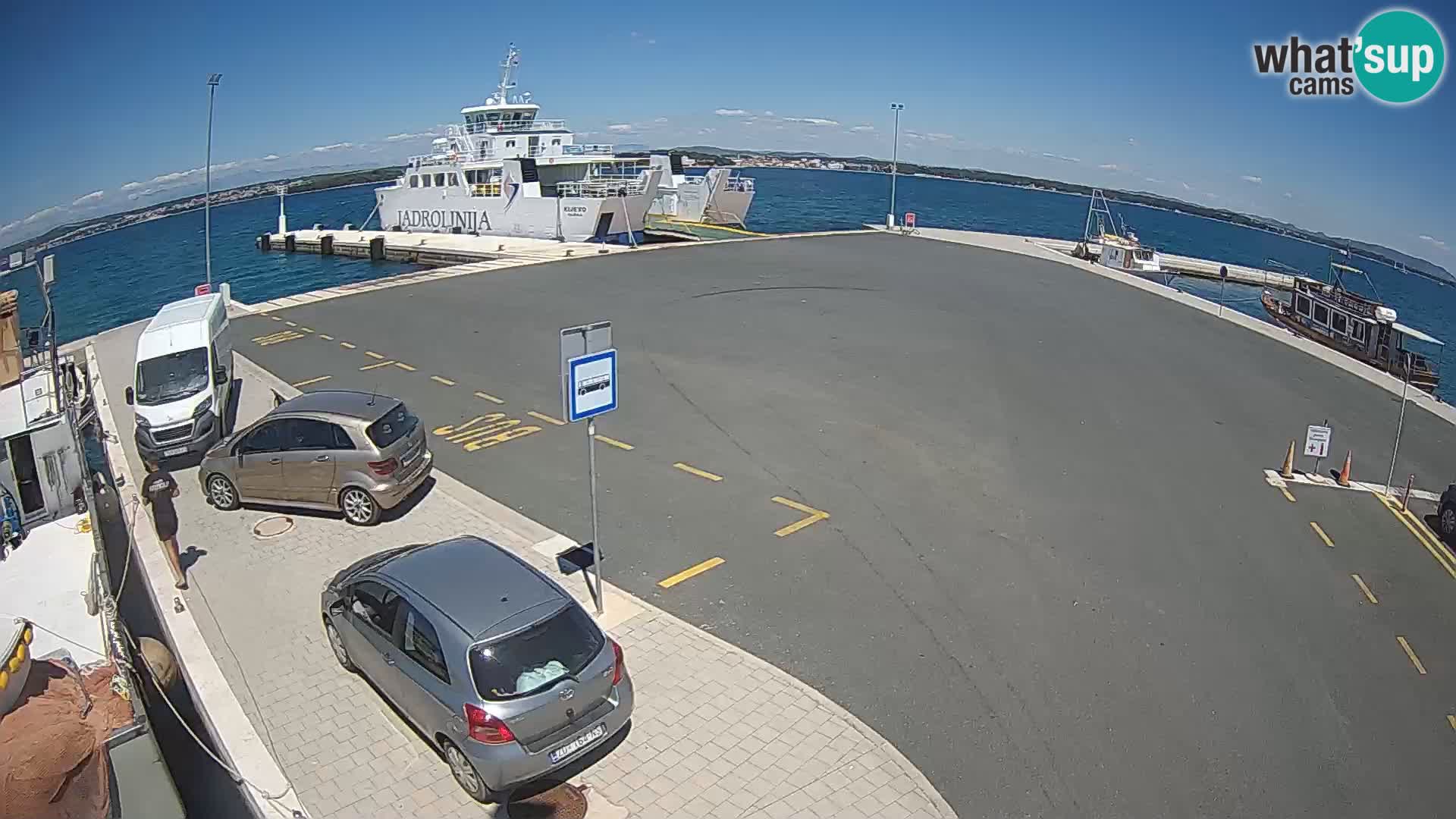 Tkon v živo – trajekt – Dalmacija – Hrvaška