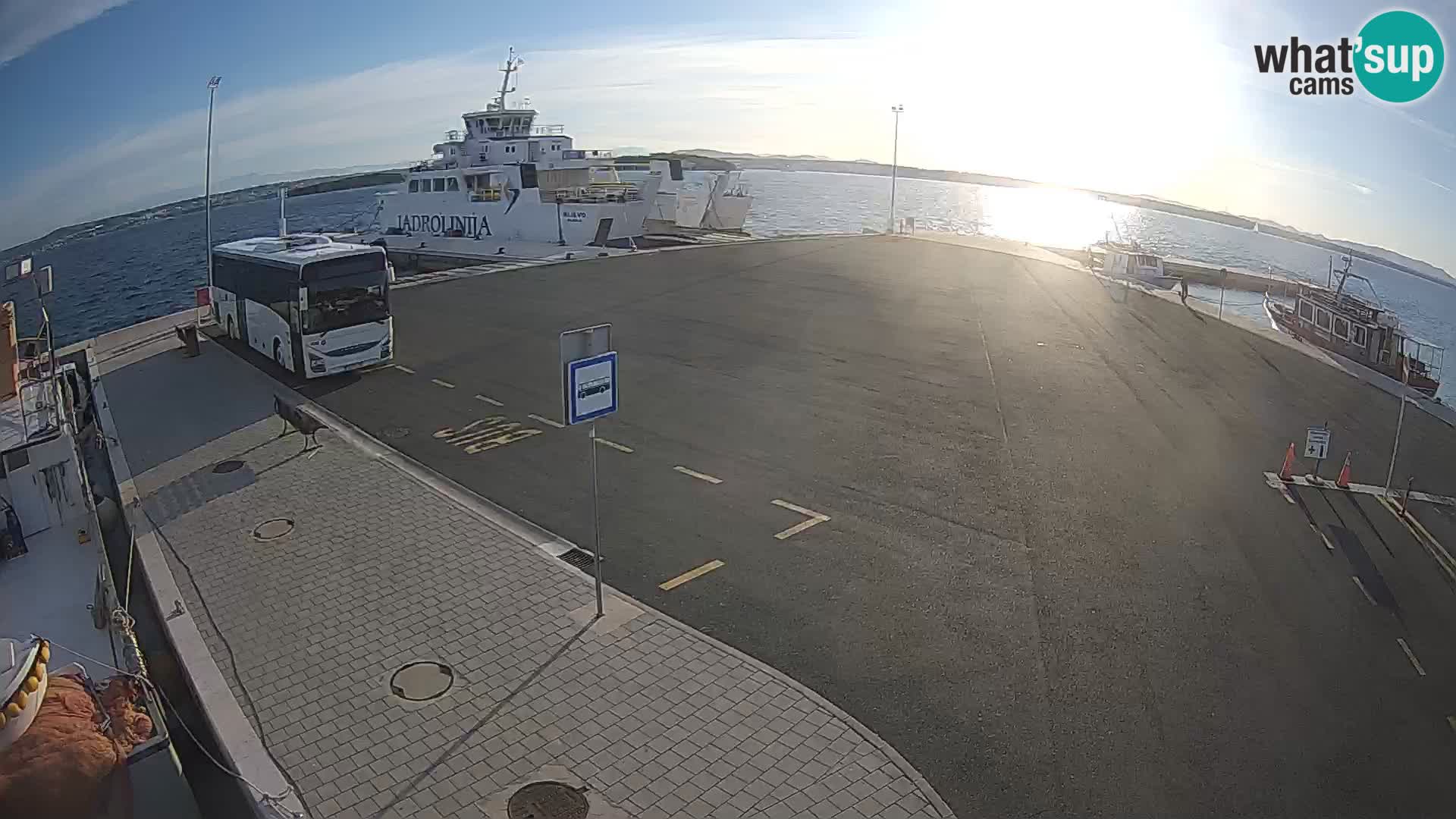 Tkon Live cam – ferry – Dalmatia – Croatia