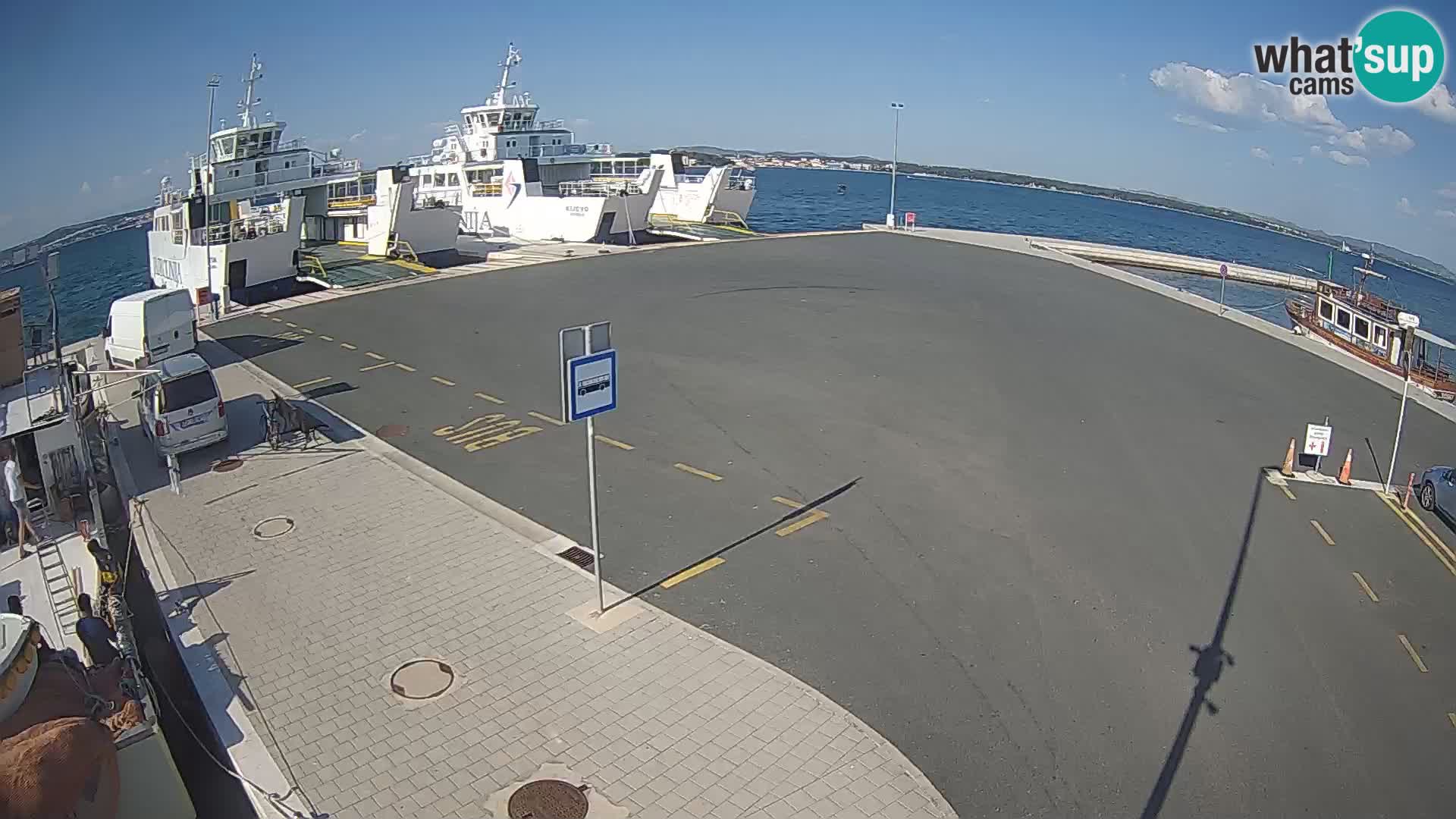 Tkon v živo – trajekt – Dalmacija – Hrvaška