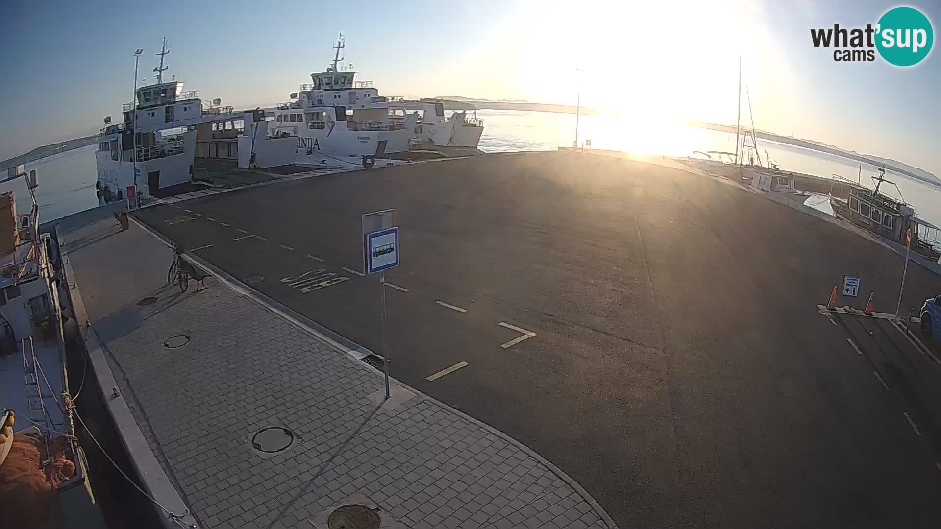 Tkon camera en vivo – Transportar – Dalmacia – Croacia