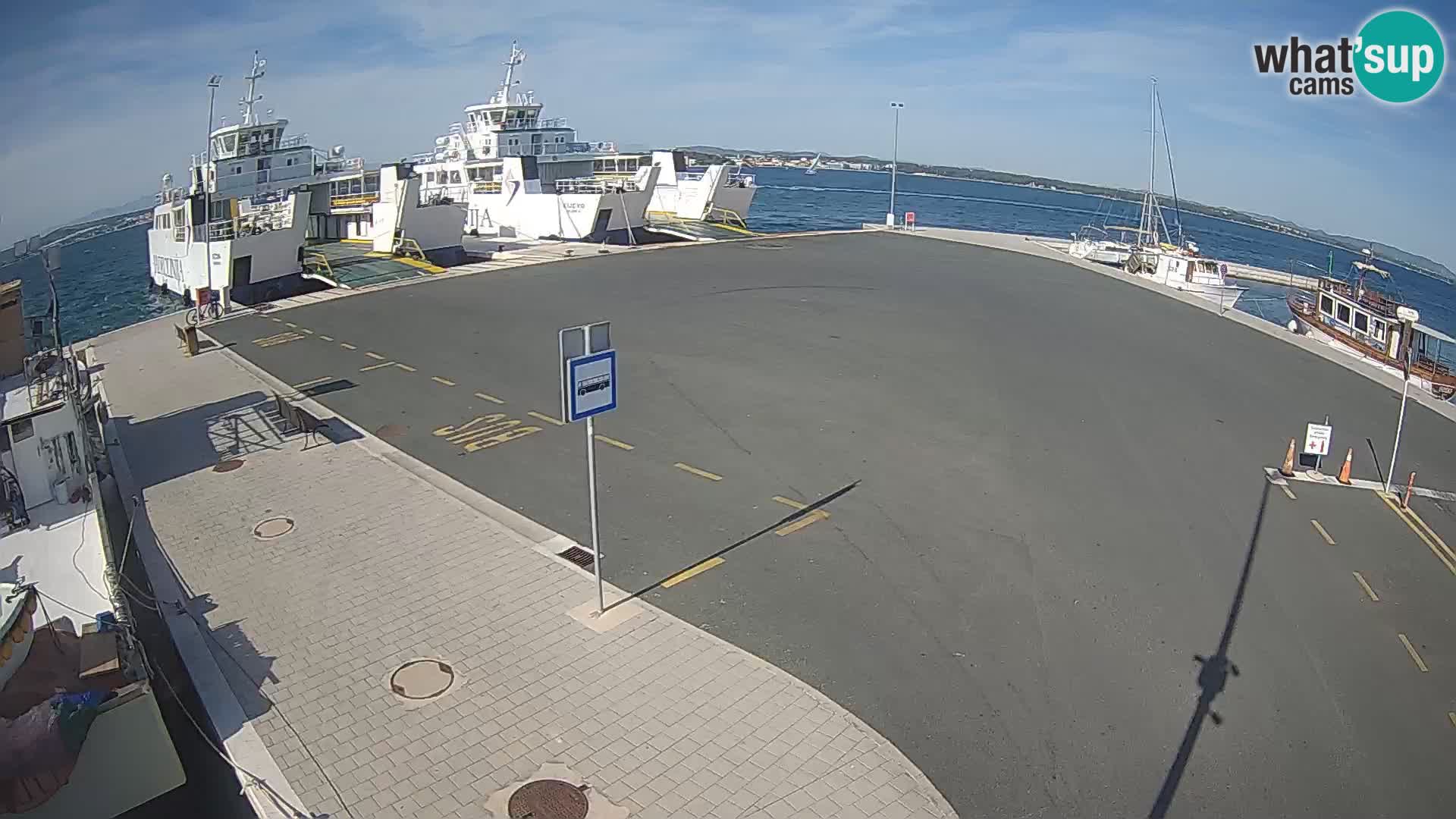 Tkon camera en vivo – Transportar – Dalmacia – Croacia
