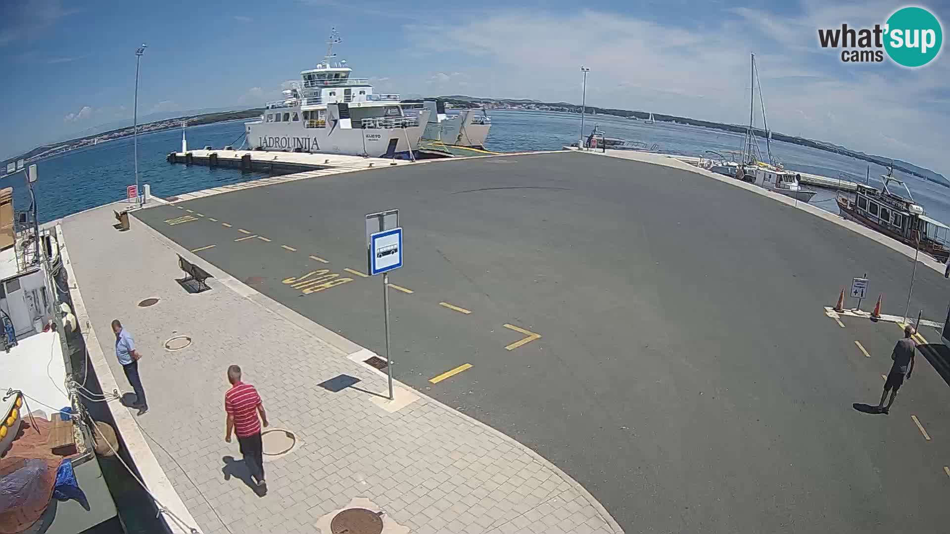 Tkon u živo – trajekt – Dalmacija