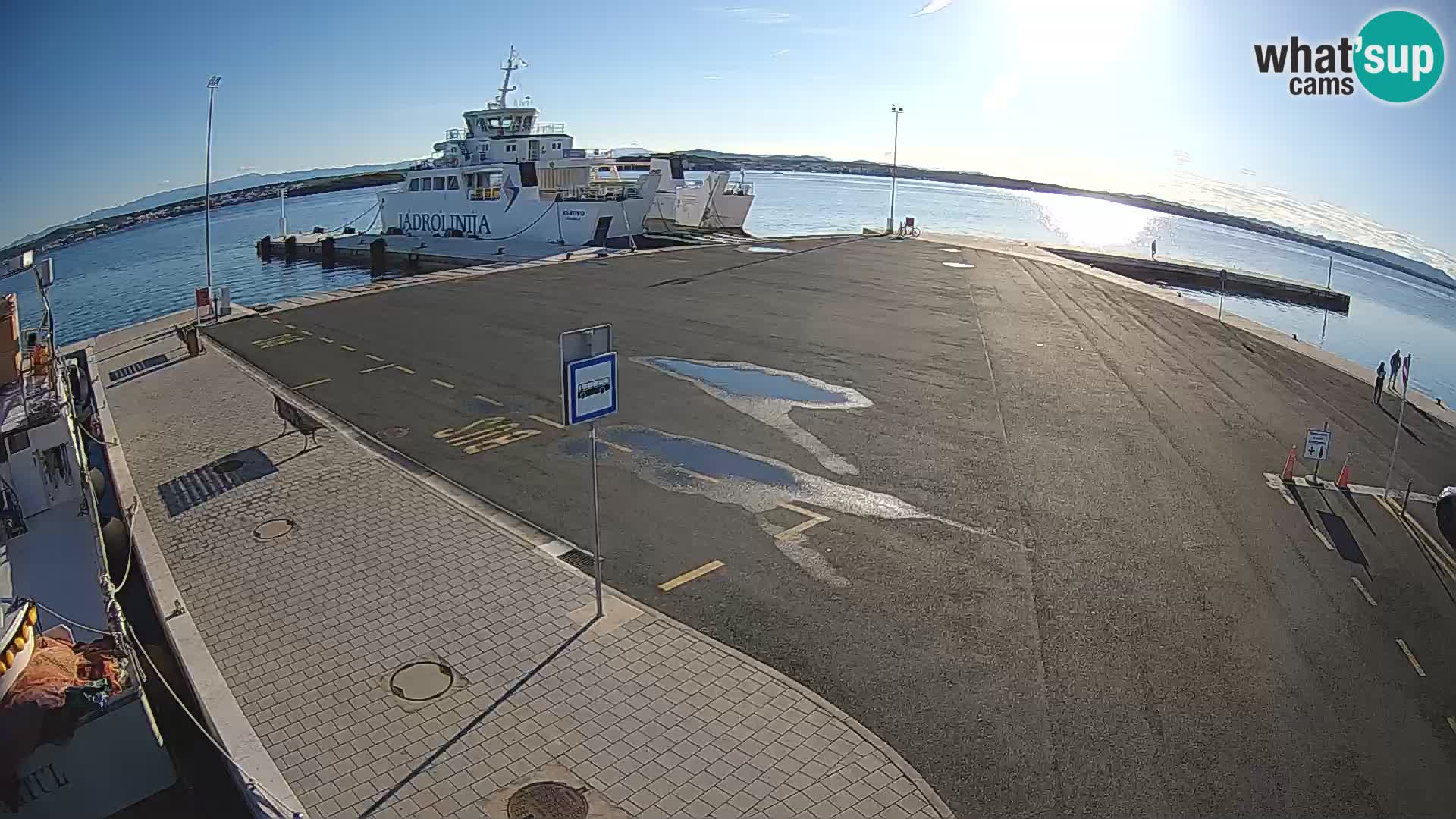 Tkon v živo – trajekt – Dalmacija – Hrvaška