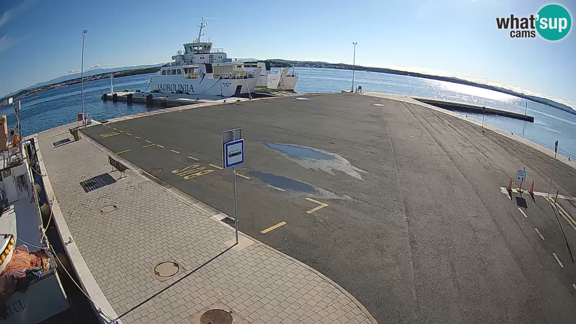 Tkon u živo – trajekt – Dalmacija