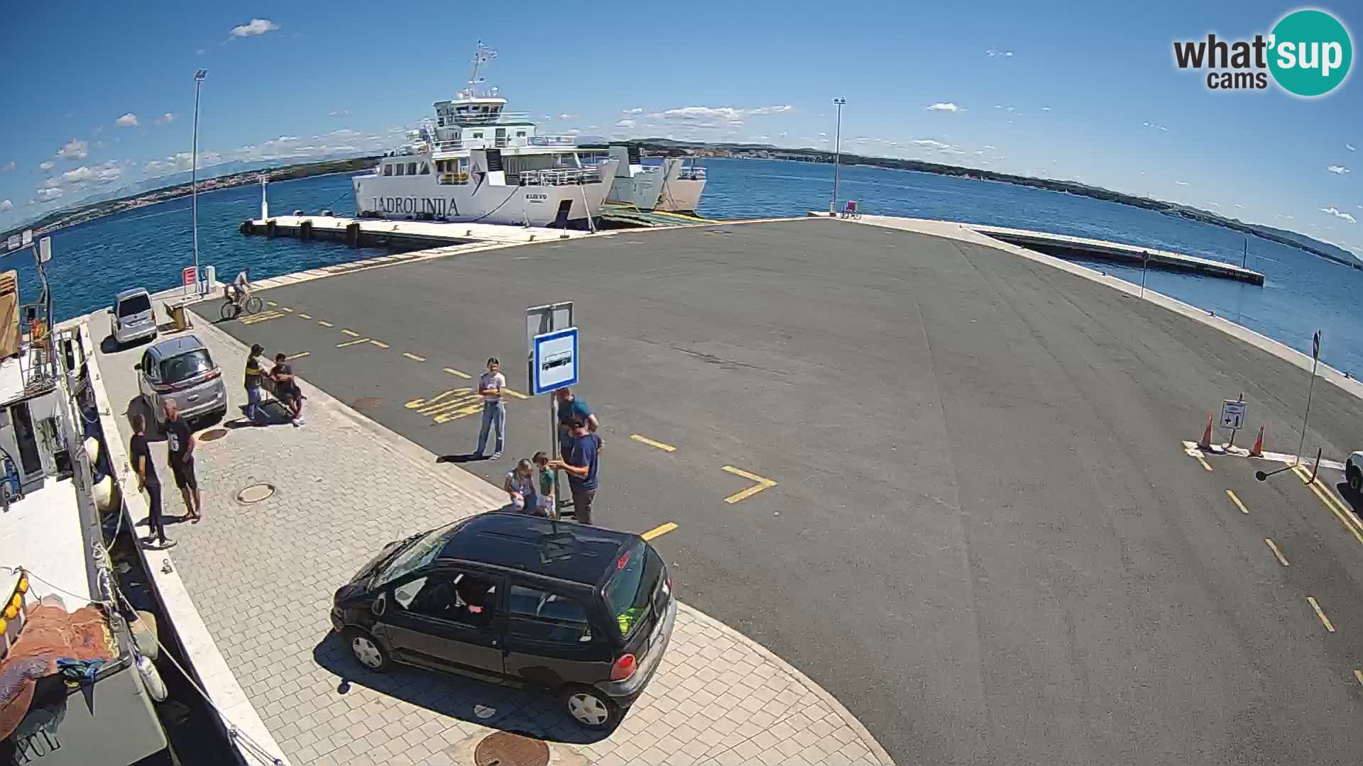 Tkon v živo – trajekt – Dalmacija – Hrvaška