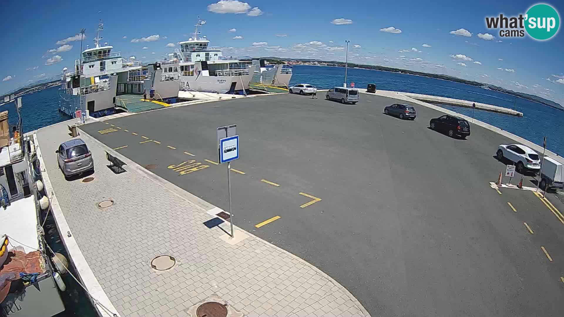 Tkon v živo – trajekt – Dalmacija – Hrvaška