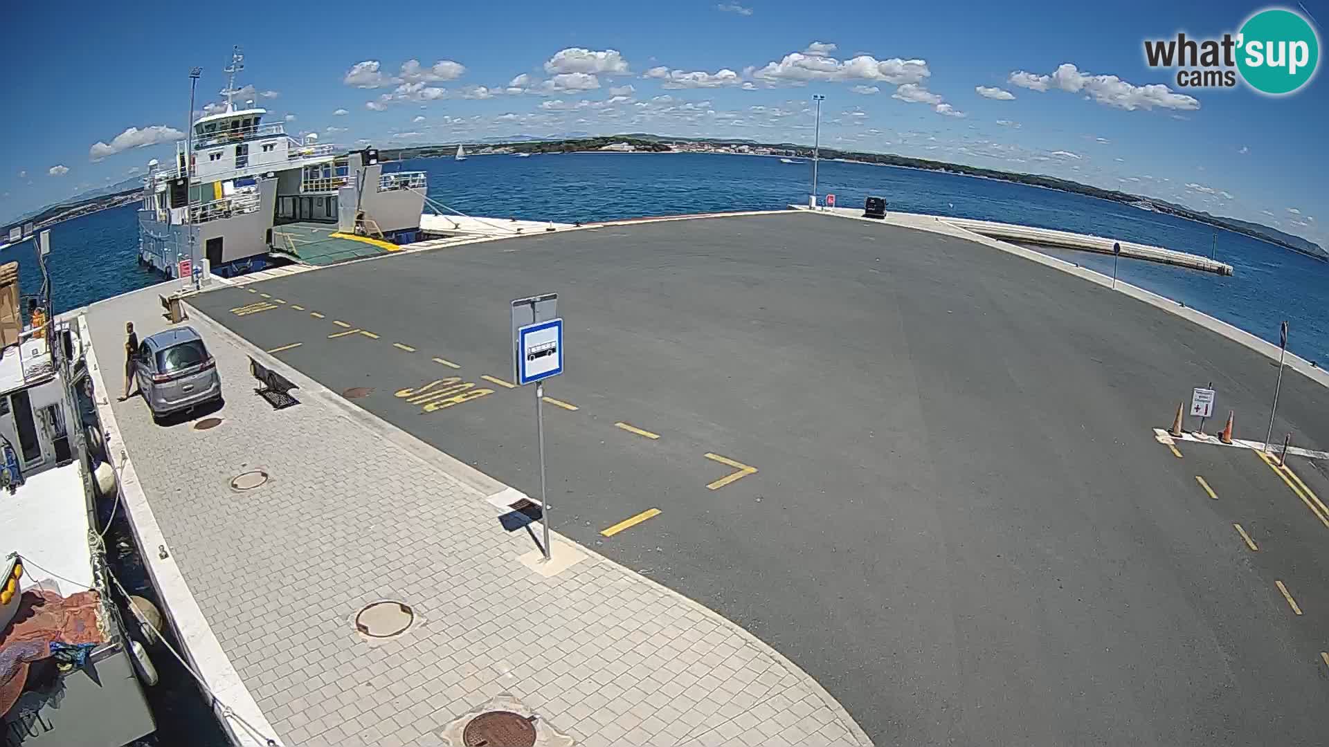 Tkon u živo – trajekt – Dalmacija
