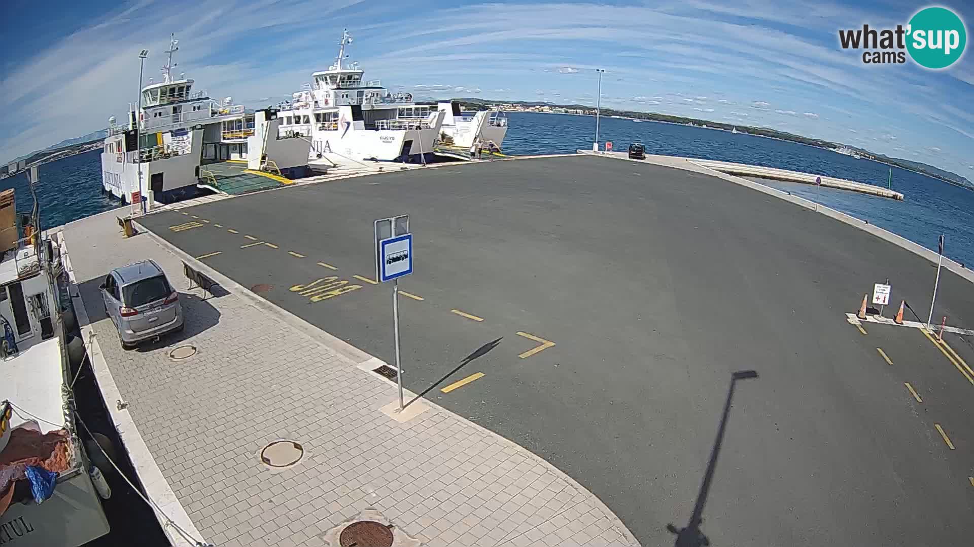 Tkon camera en vivo – Transportar – Dalmacia – Croacia
