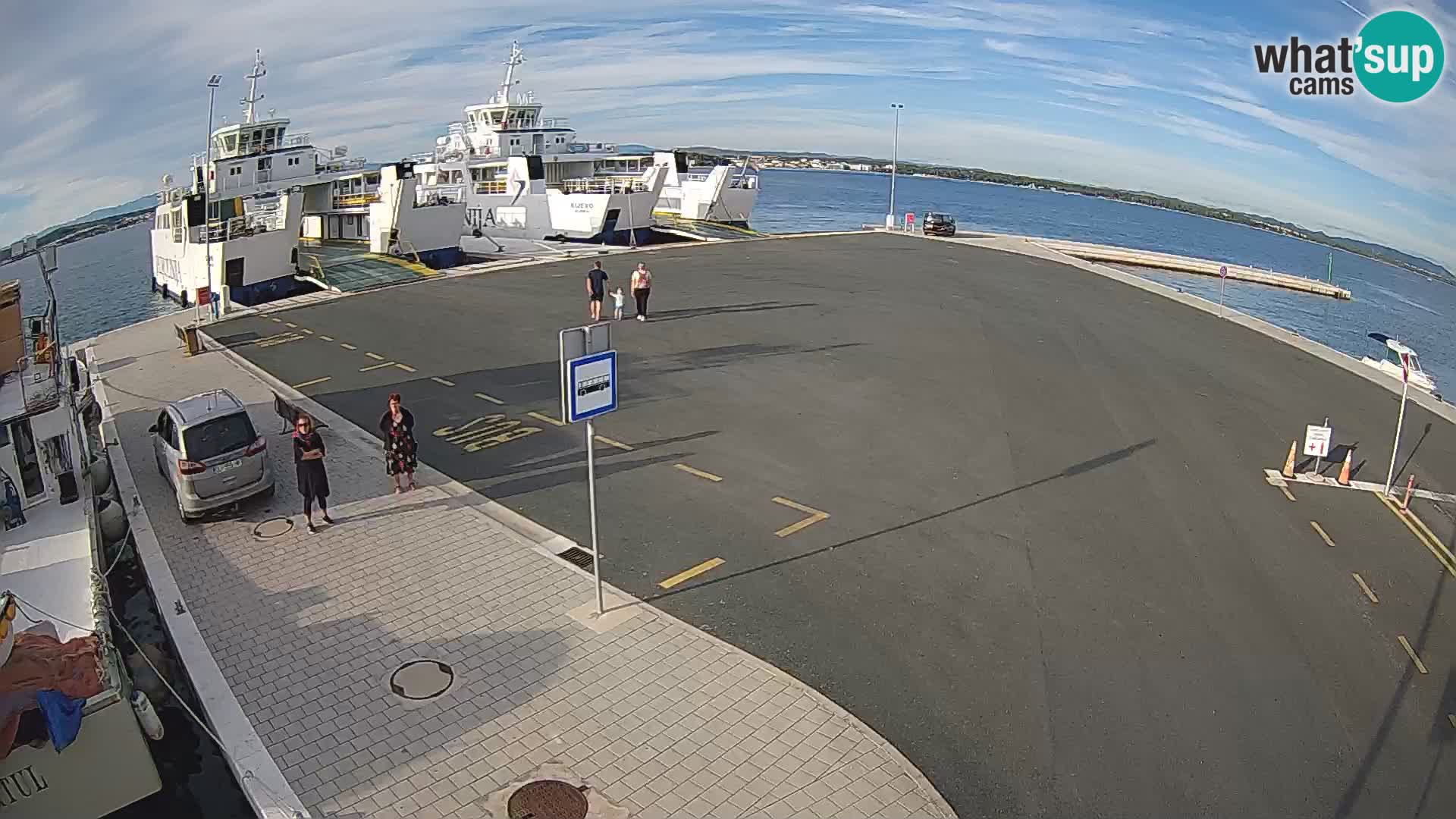 Tkon camera en vivo – Transportar – Dalmacia – Croacia
