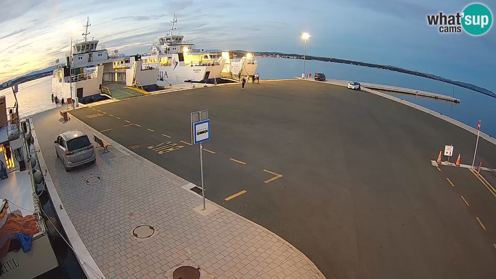 Tkon v živo – trajekt – Dalmacija – Hrvaška