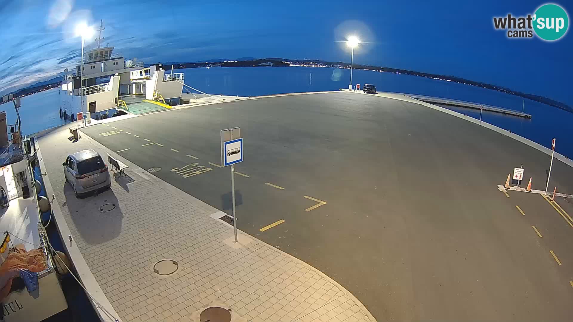 Tkon v živo – trajekt – Dalmacija – Hrvaška