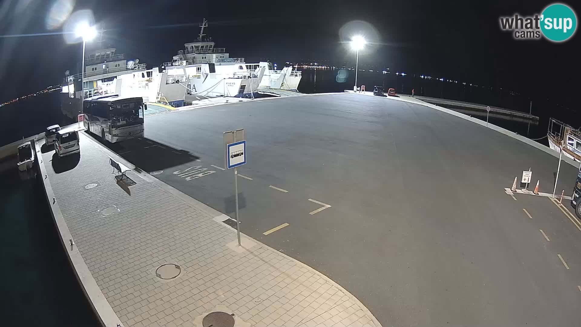 Tkon v živo – trajekt – Dalmacija – Hrvaška