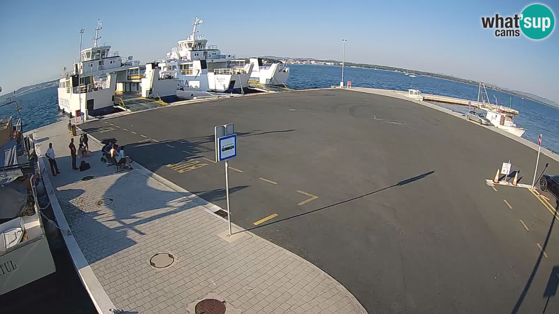 Tkon v živo – trajekt – Dalmacija – Hrvaška