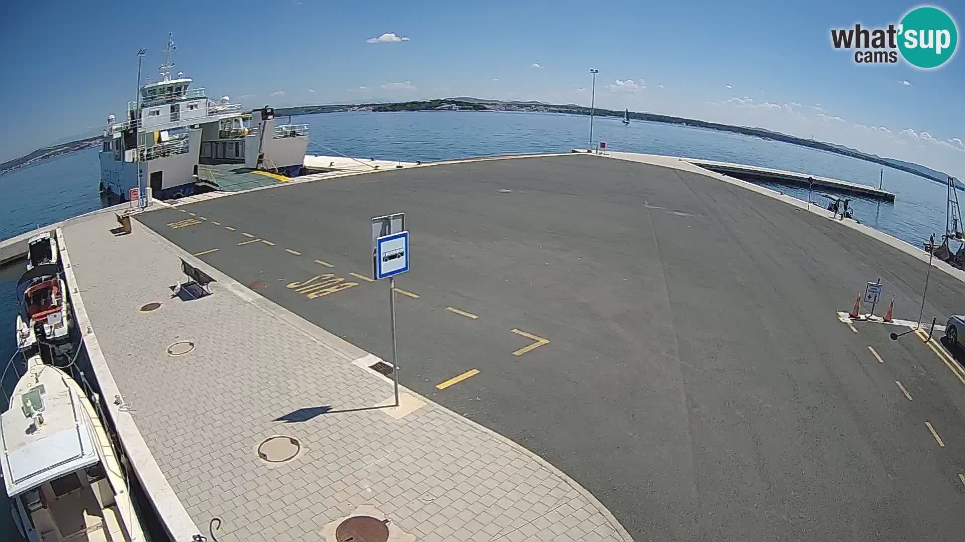 Tkon u živo – trajekt – Dalmacija