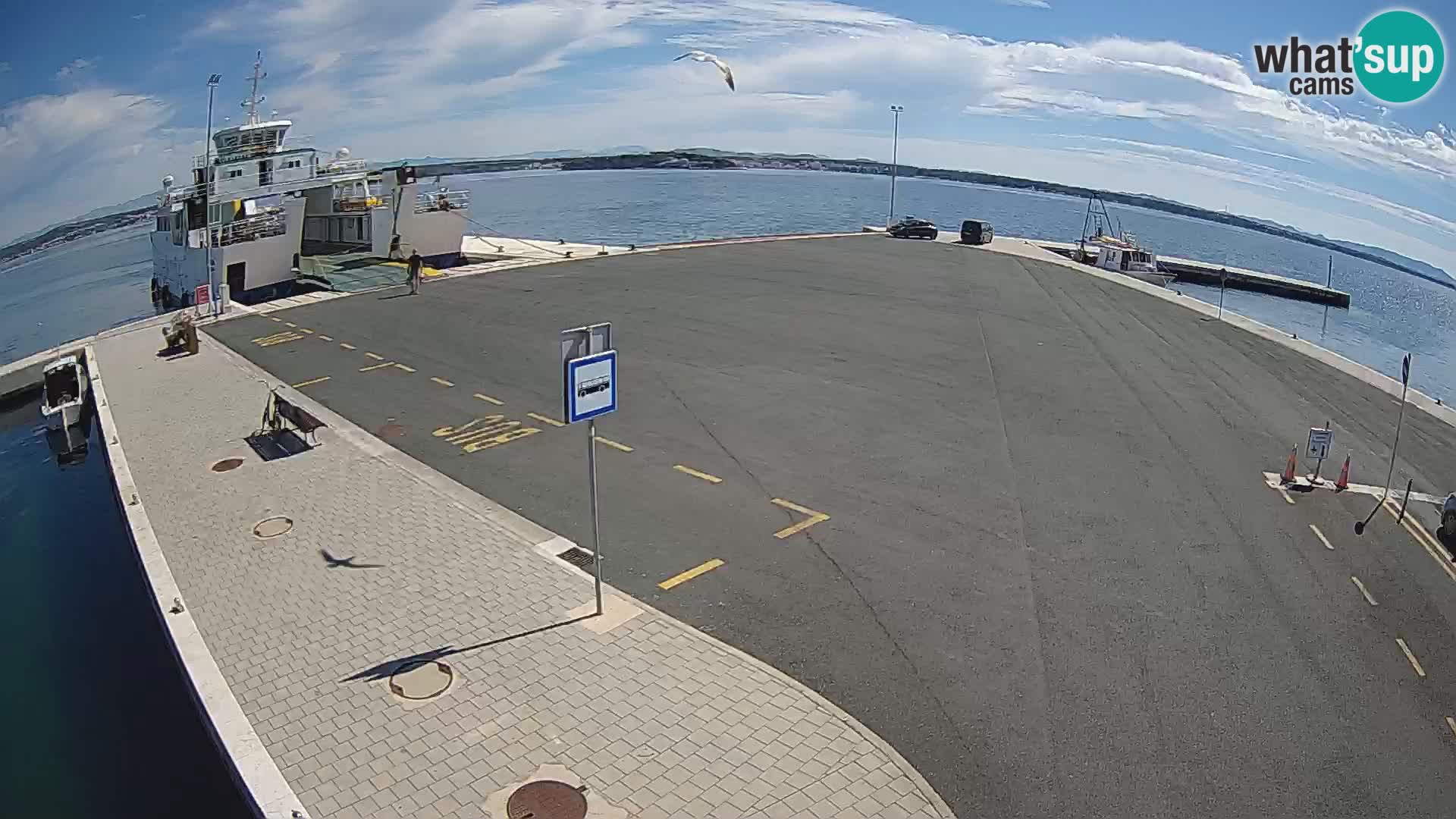 Tkon Live cam – traghetto – Dalmazia – Croazia