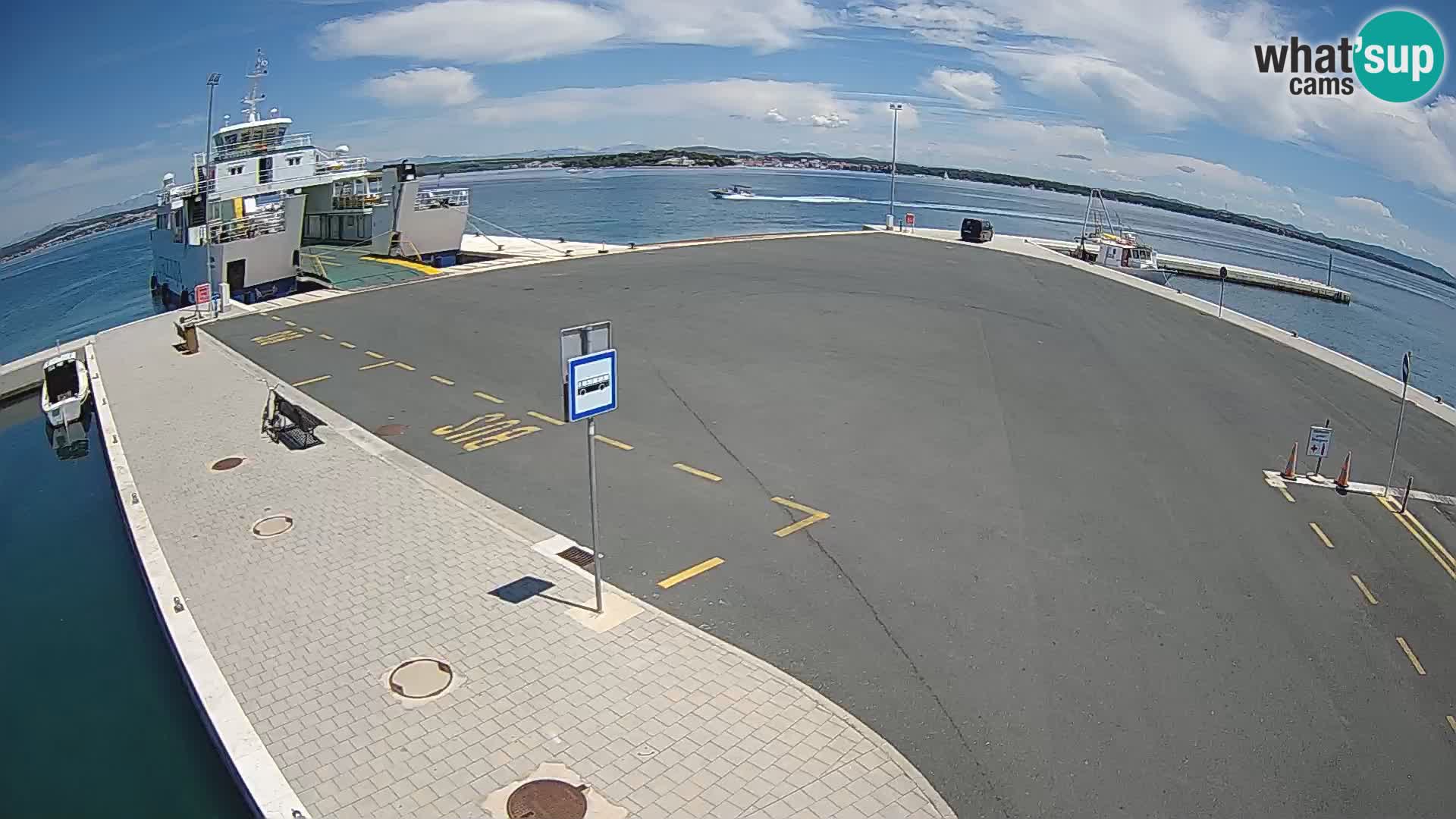 Tkon camera en vivo – Transportar – Dalmacia – Croacia