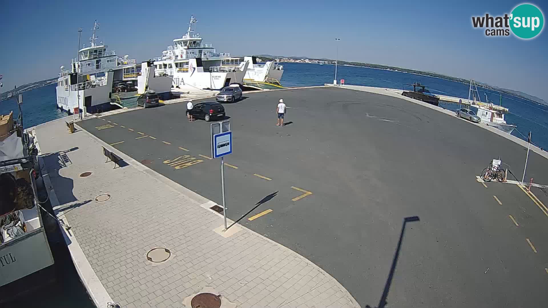 Tkon u živo – trajekt – Dalmacija