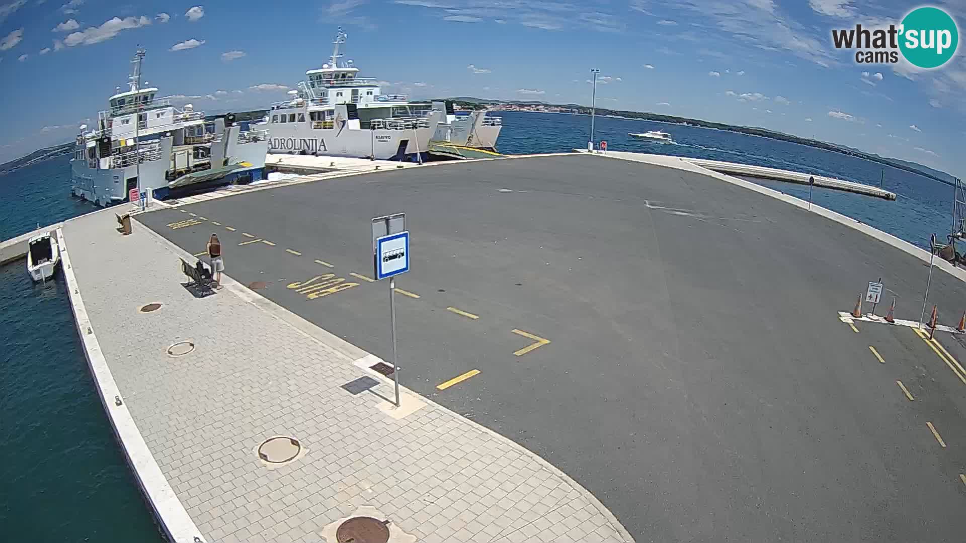 Tkon u živo – trajekt – Dalmacija