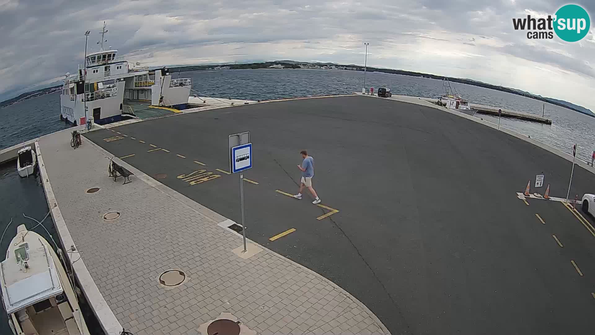 Tkon v živo – trajekt – Dalmacija – Hrvaška