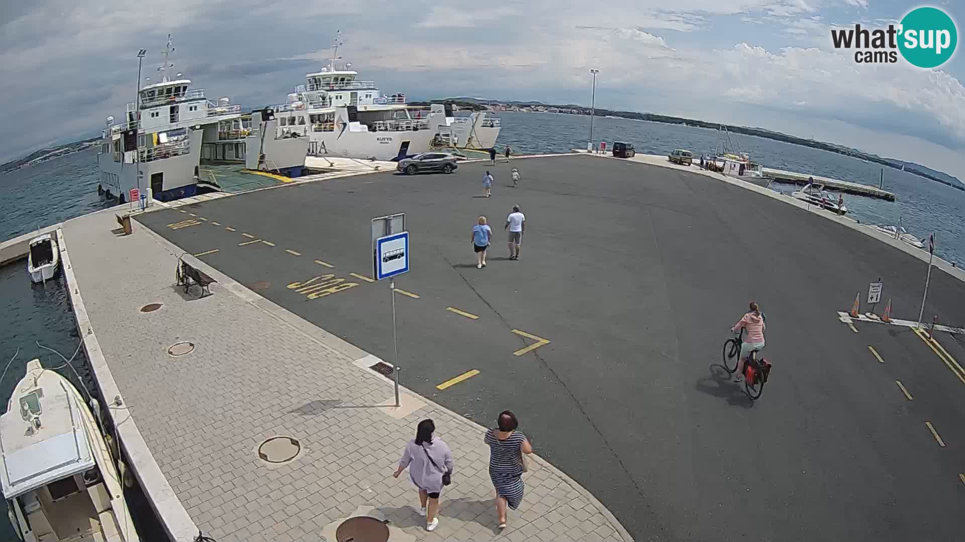 Tkon v živo – trajekt – Dalmacija – Hrvaška