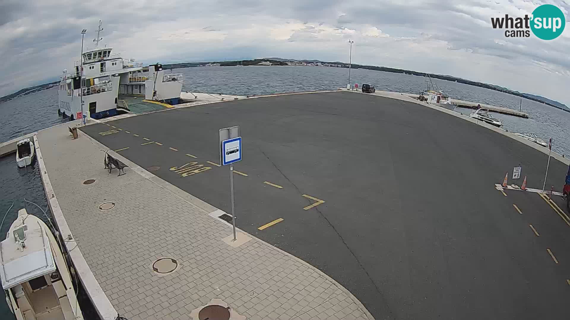 Tkon v živo – trajekt – Dalmacija – Hrvaška
