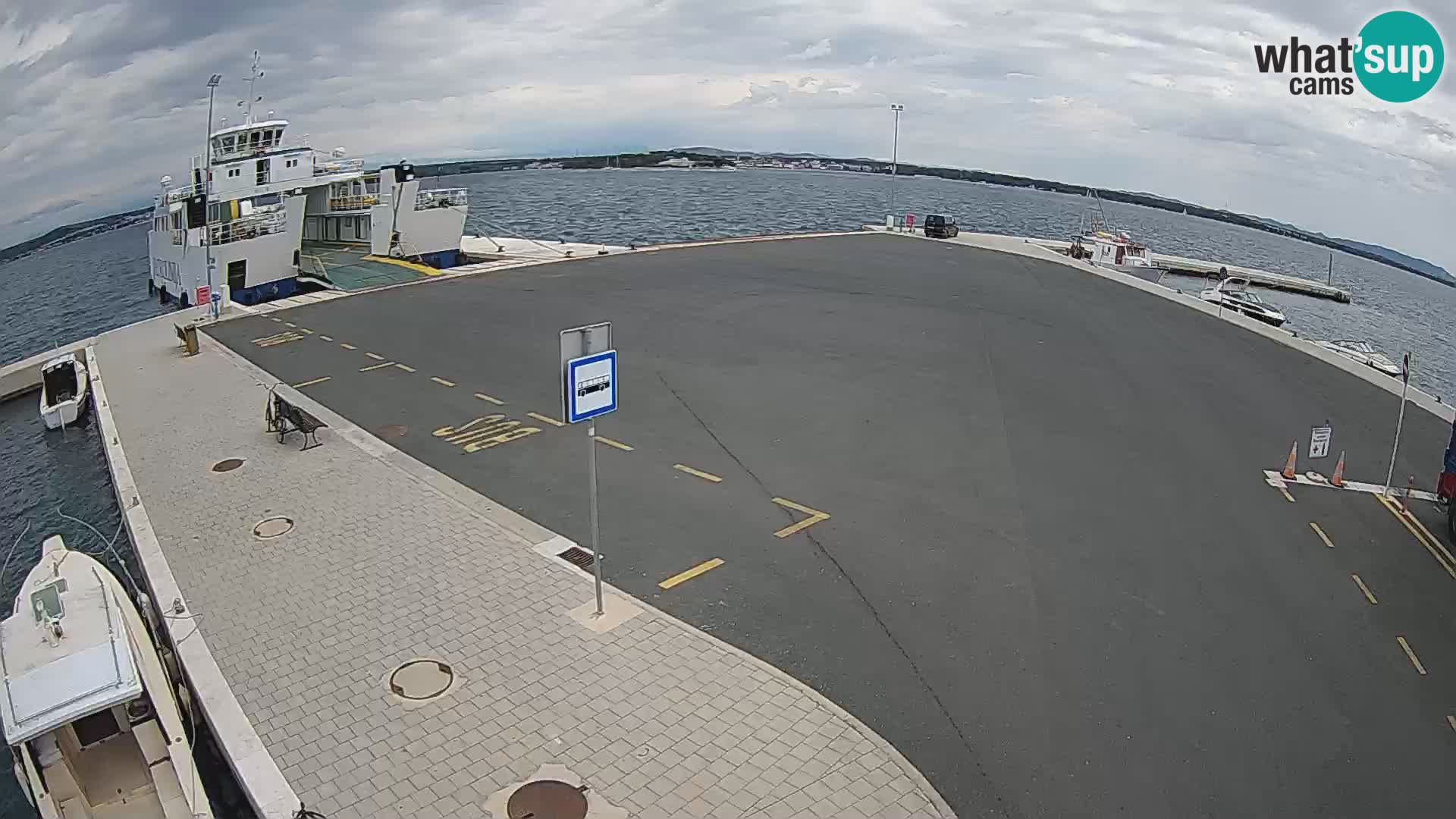 Tkon v živo – trajekt – Dalmacija – Hrvaška