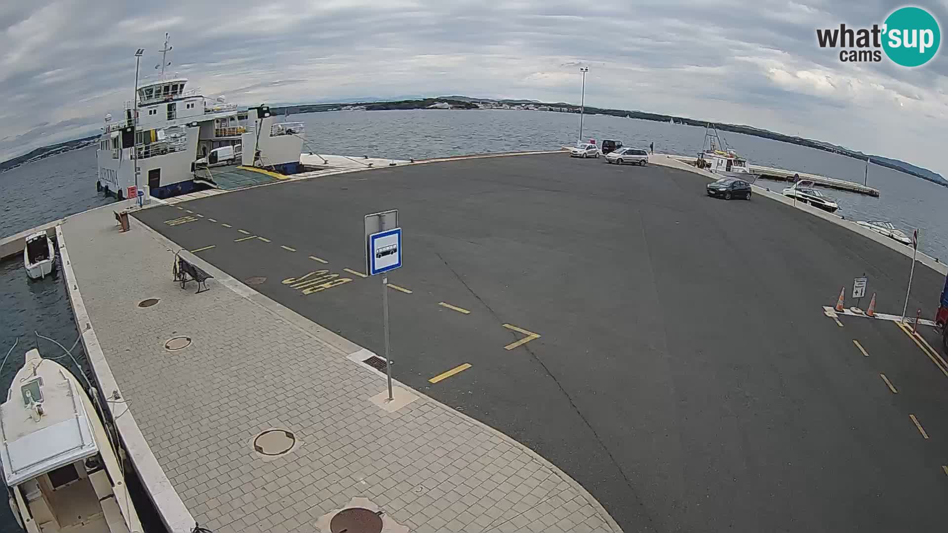 Tkon v živo – trajekt – Dalmacija – Hrvaška