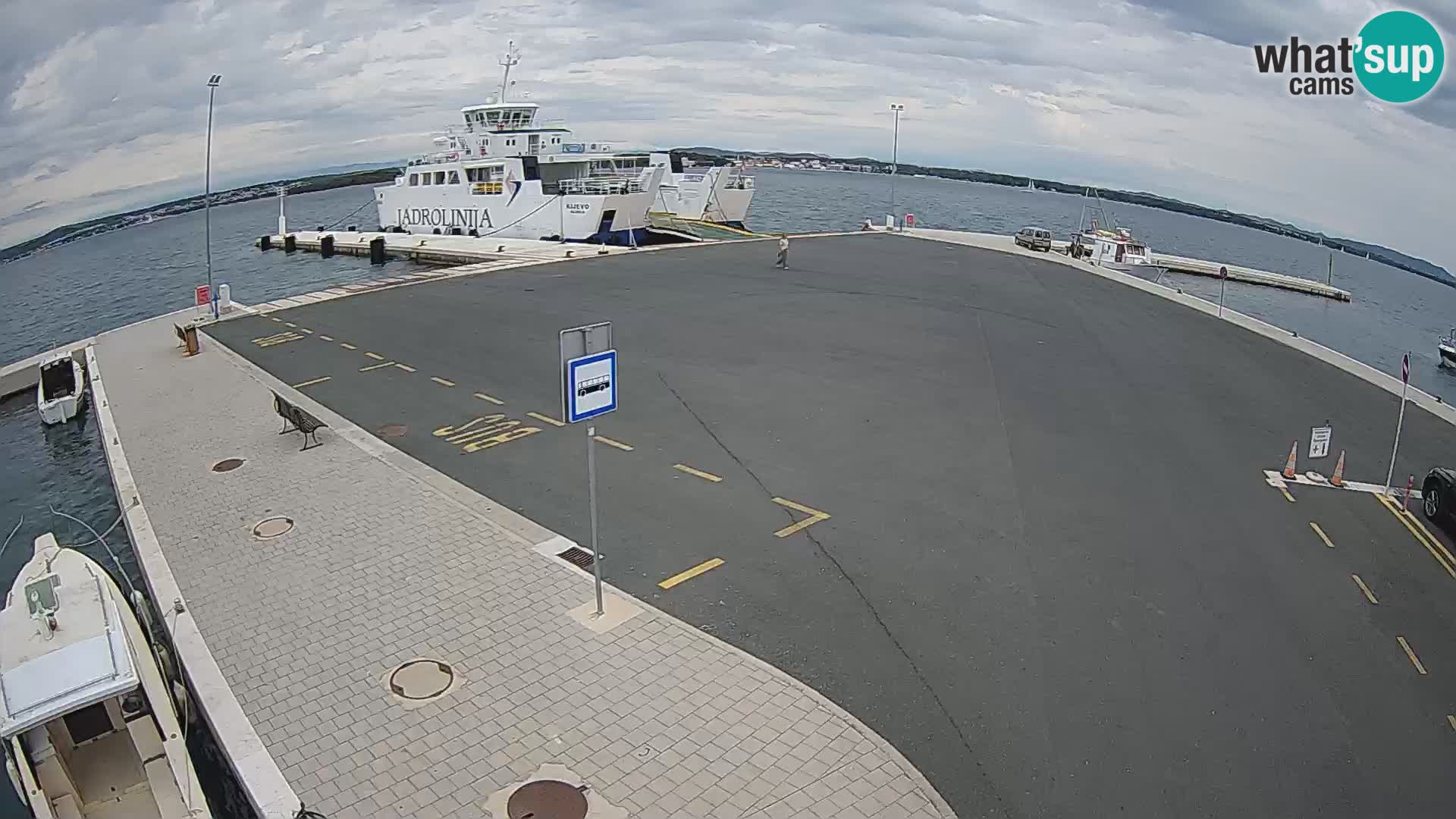 Tkon v živo – trajekt – Dalmacija – Hrvaška