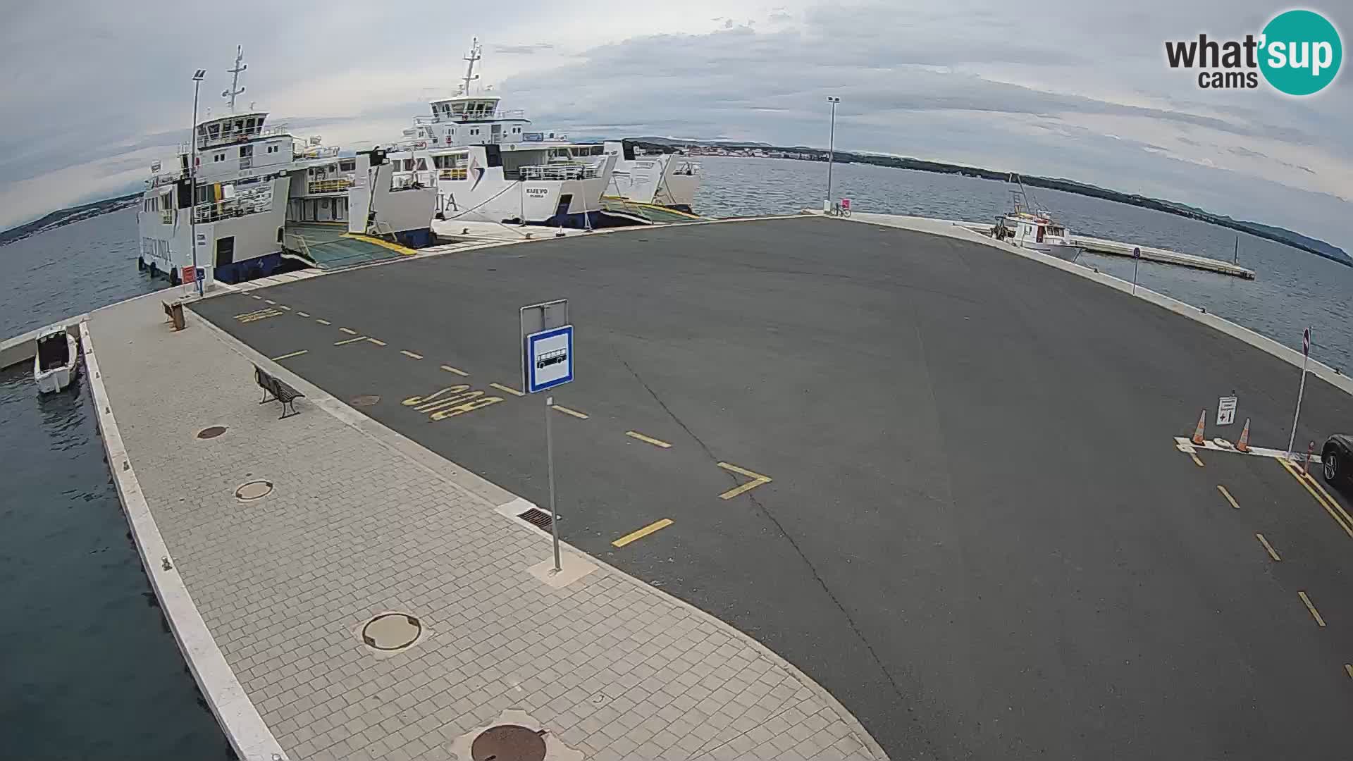 Tkon camera en vivo – Transportar – Dalmacia – Croacia