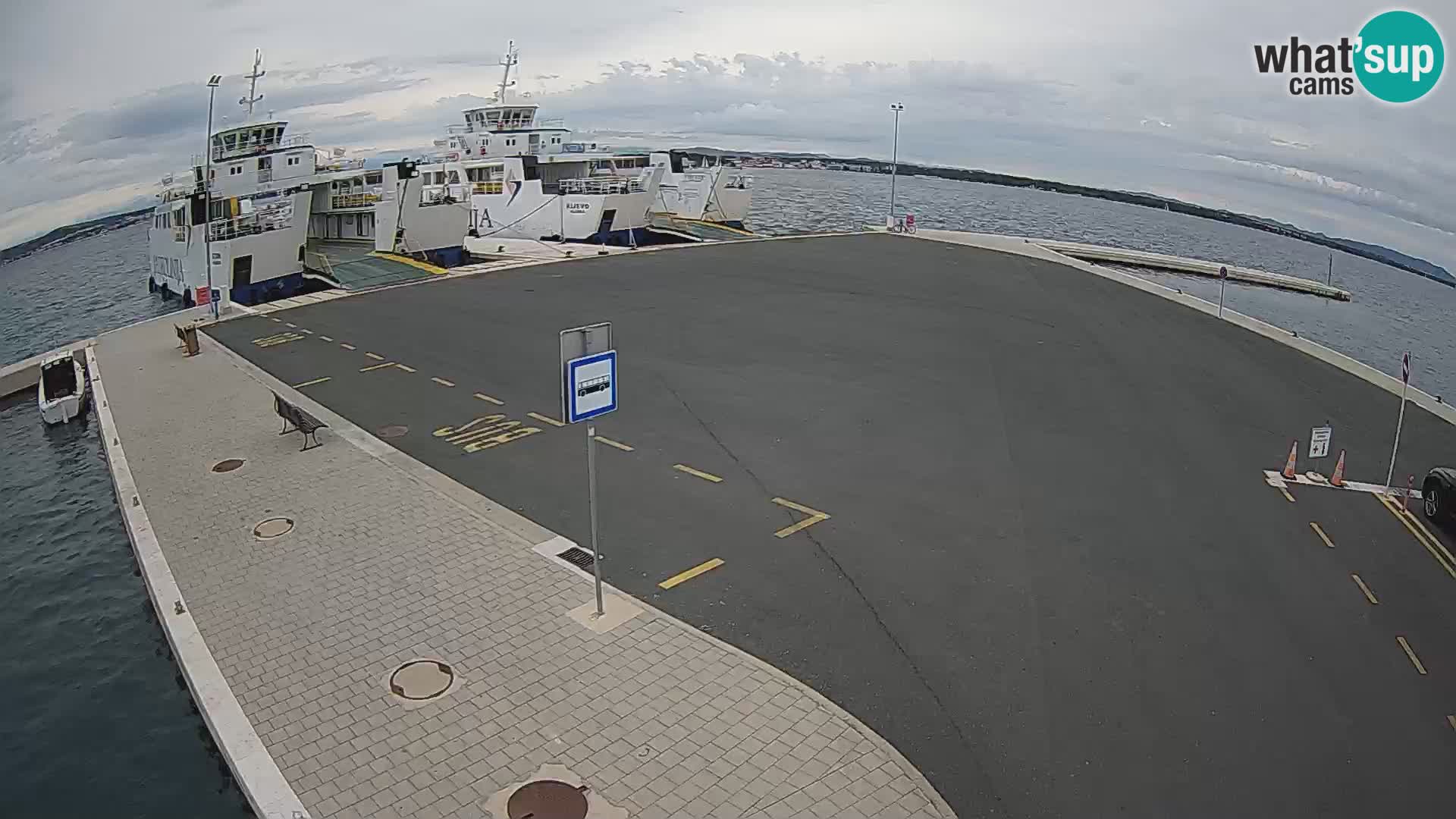 Tkon v živo – trajekt – Dalmacija – Hrvaška