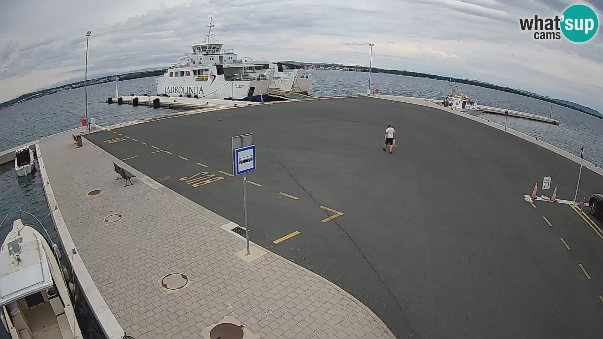 Tkon u živo – trajekt – Dalmacija