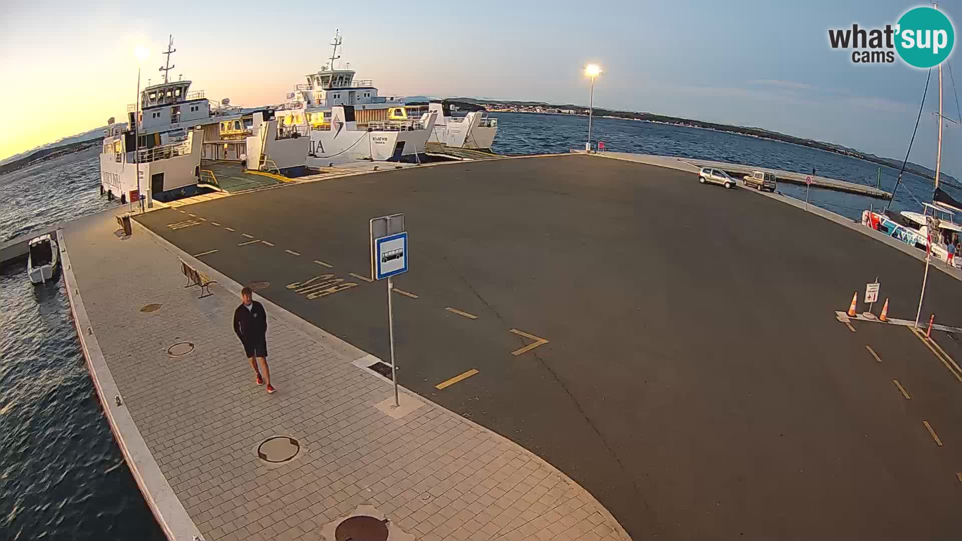 Tkon v živo – trajekt – Dalmacija – Hrvaška