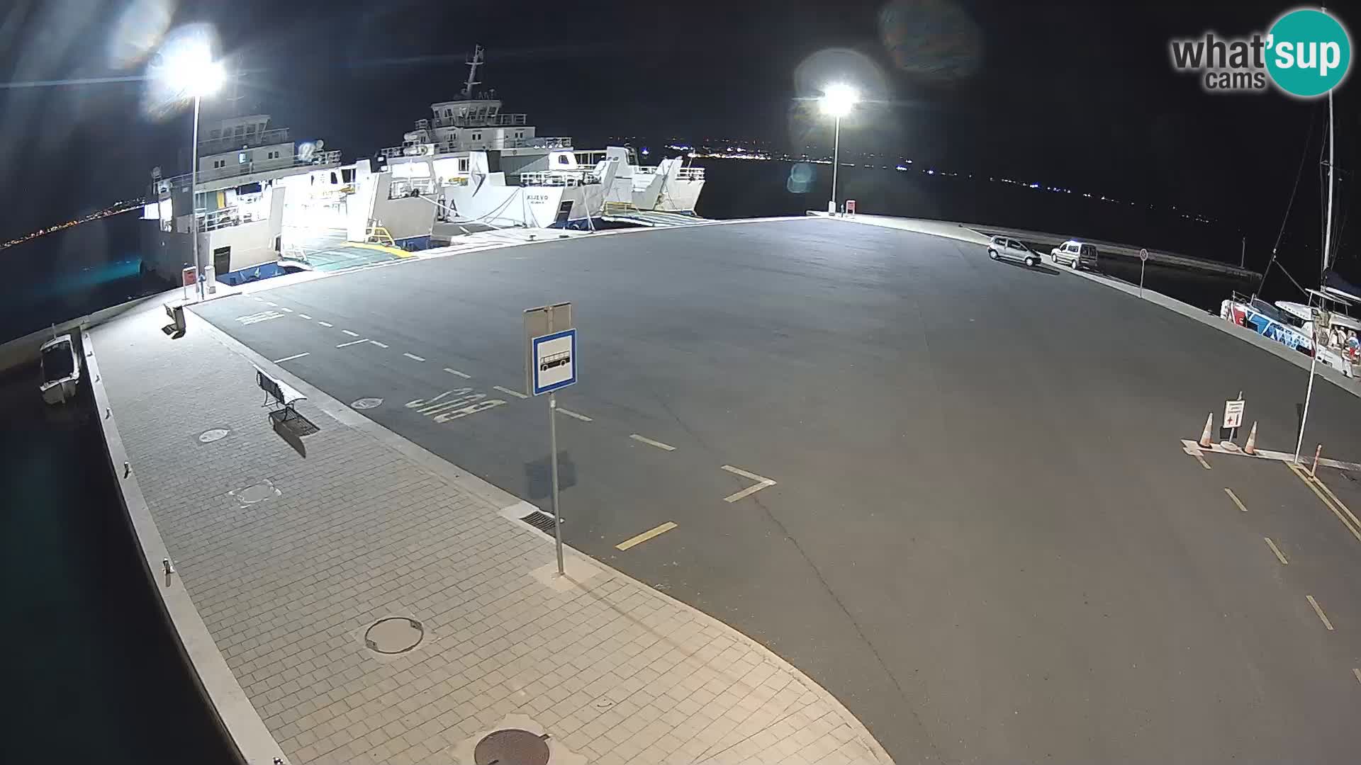 Tkon v živo – trajekt – Dalmacija – Hrvaška