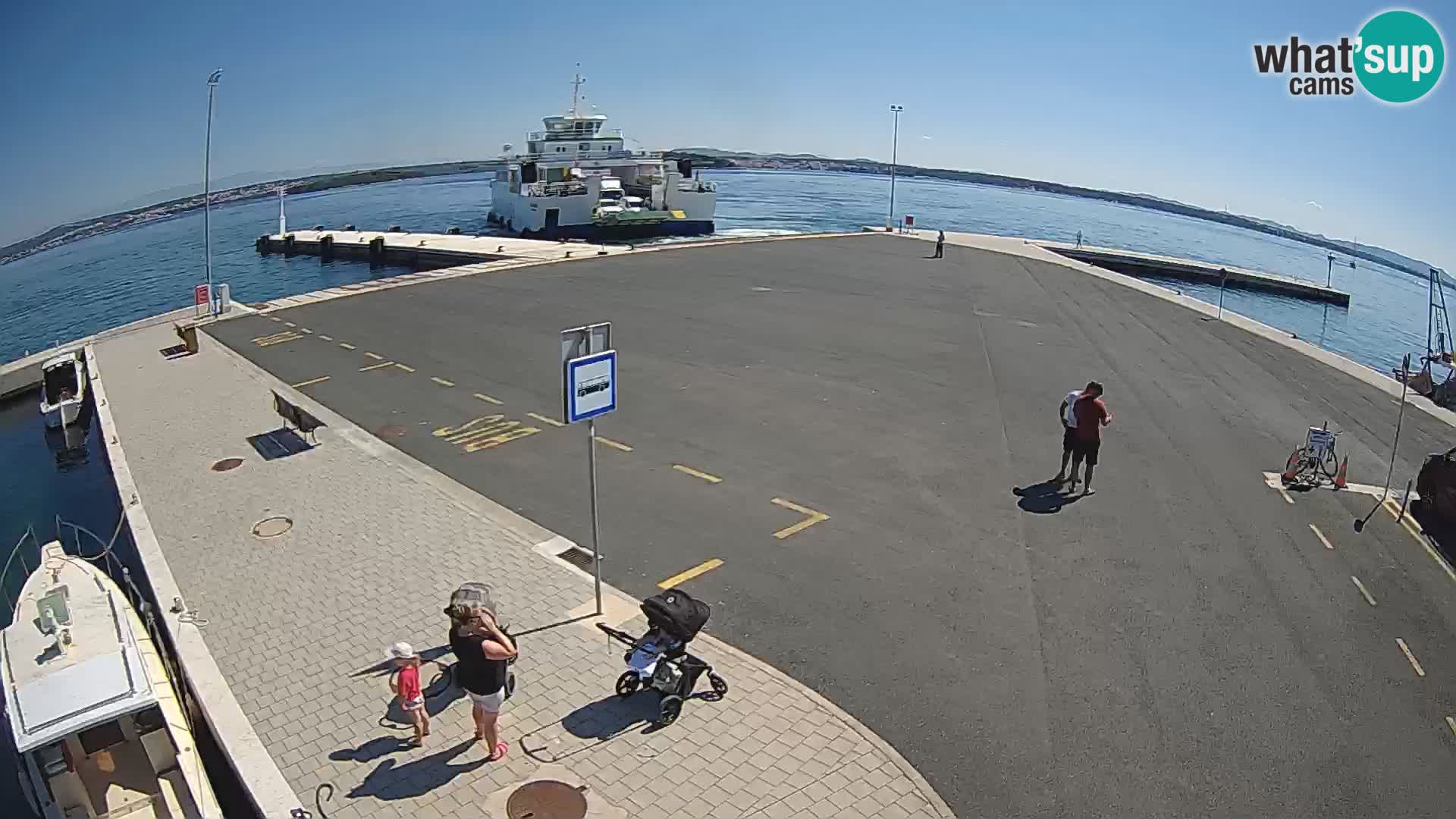 Tkon u živo – trajekt – Dalmacija