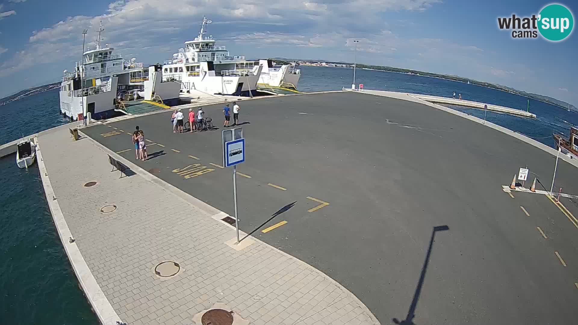 Tkon v živo – trajekt – Dalmacija – Hrvaška