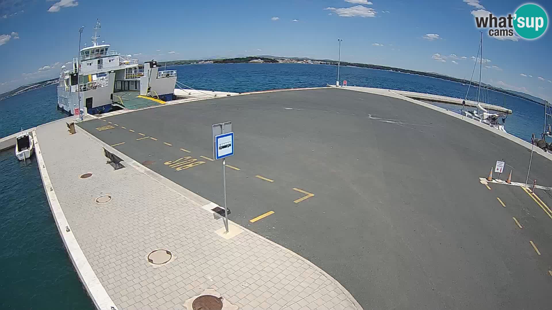 Tkon v živo – trajekt – Dalmacija – Hrvaška