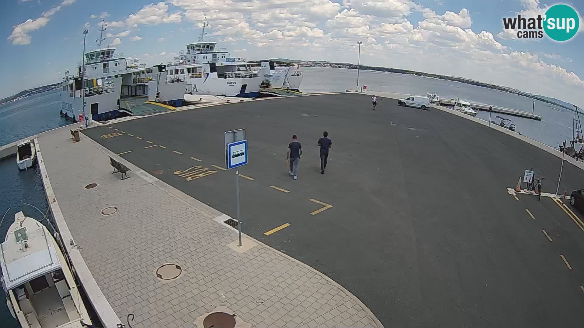 Tkon camera en vivo – Transportar – Dalmacia – Croacia
