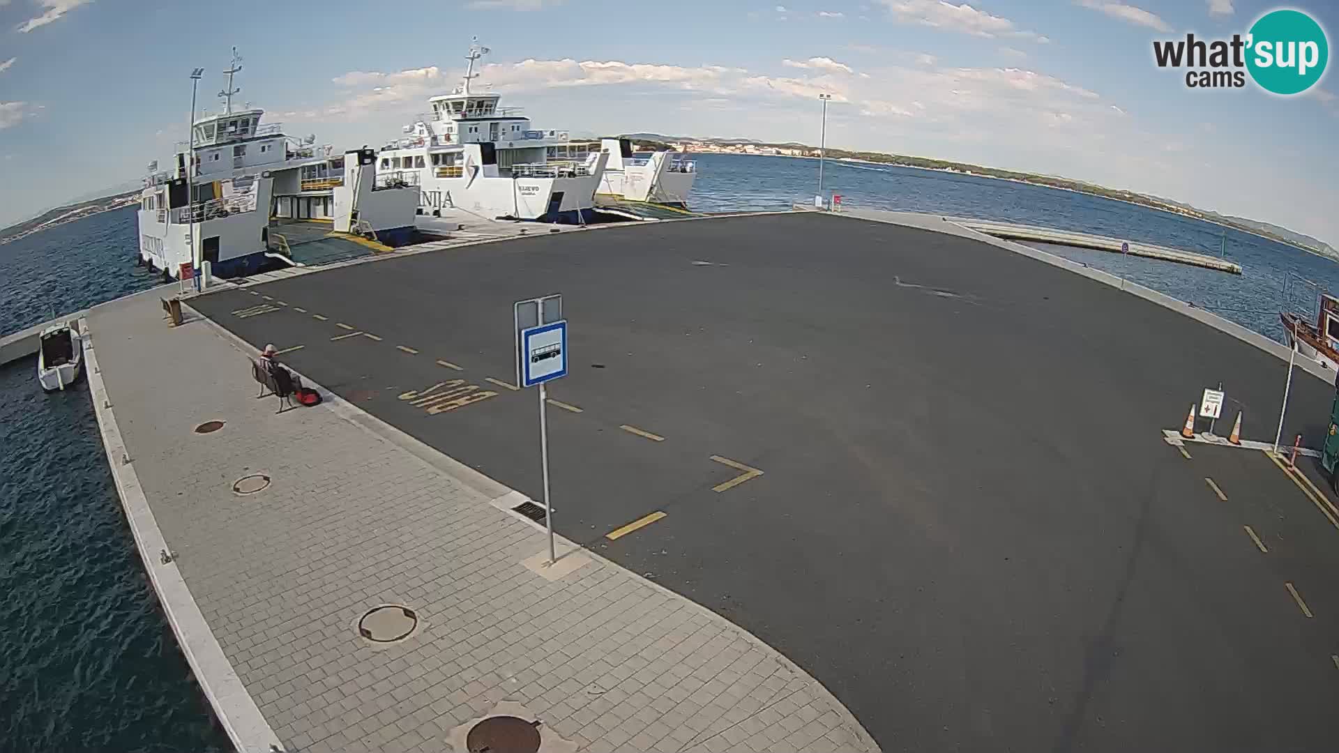 Tkon camera en vivo – Transportar – Dalmacia – Croacia