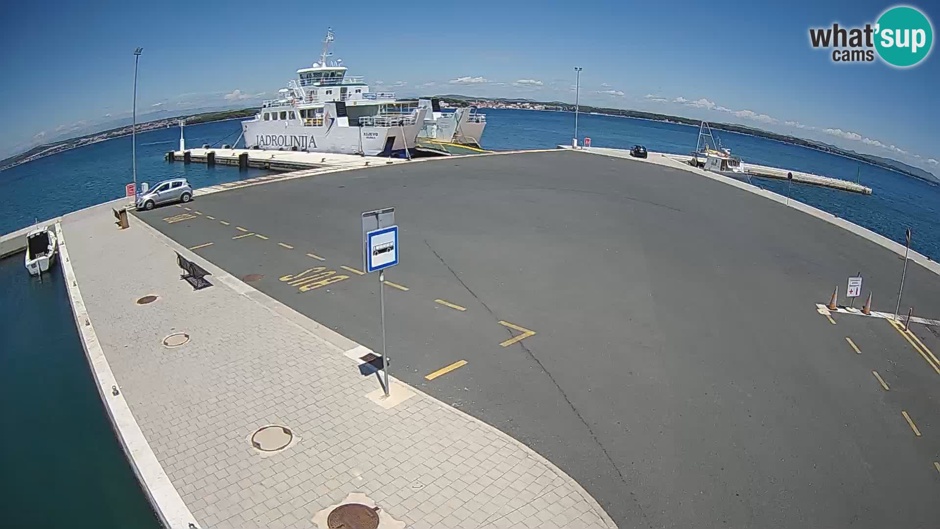 Tkon v živo – trajekt – Dalmacija – Hrvaška