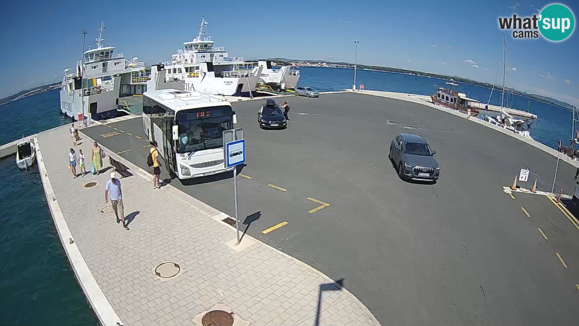 Tkon v živo – trajekt – Dalmacija – Hrvaška
