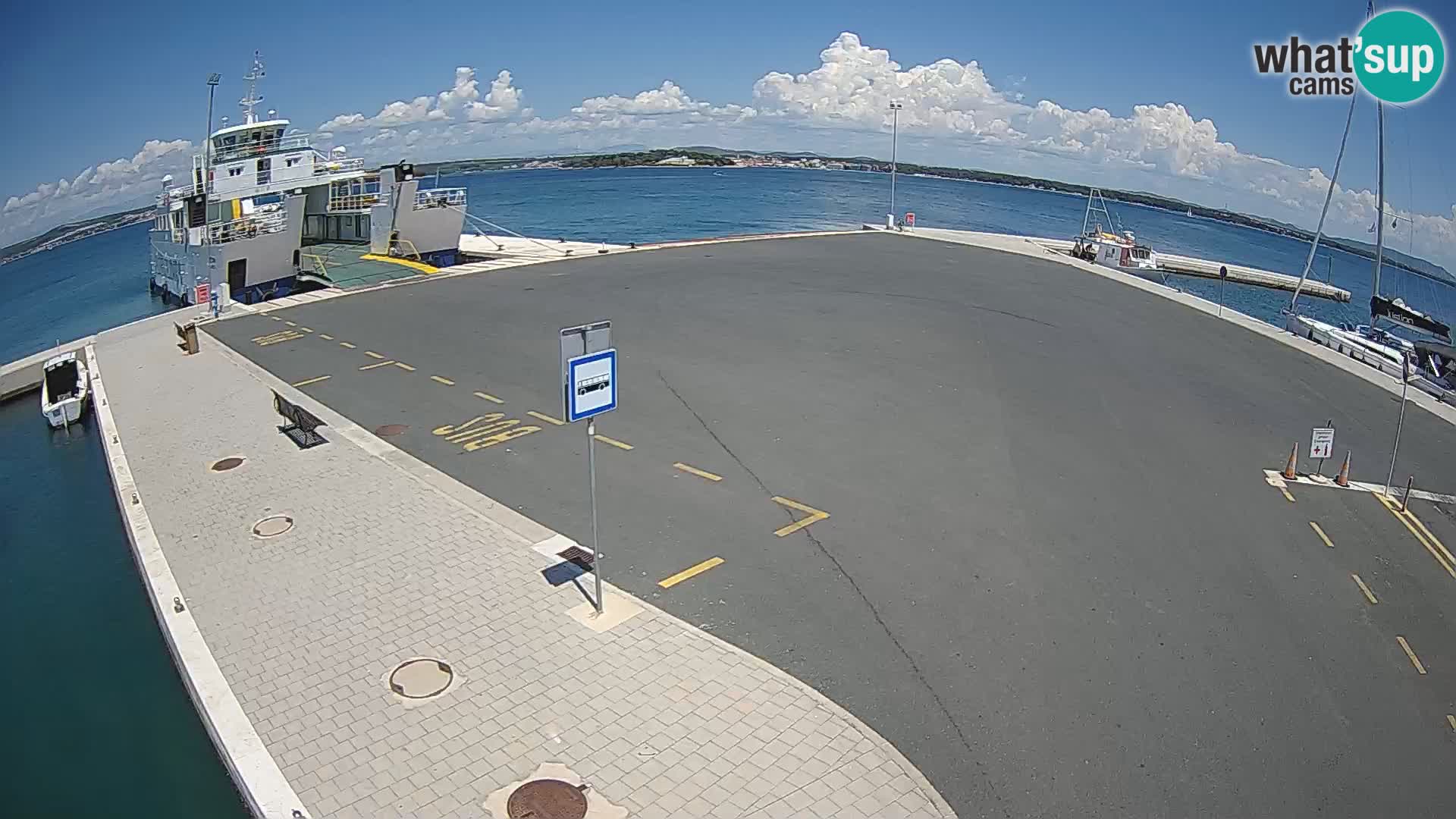 Tkon v živo – trajekt – Dalmacija – Hrvaška