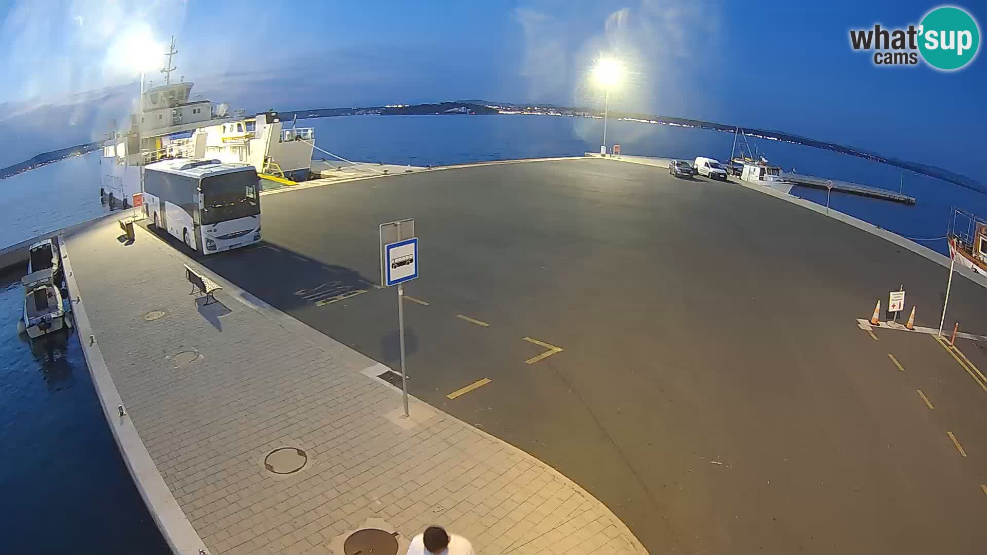 Tkon u živo – trajekt – Dalmacija