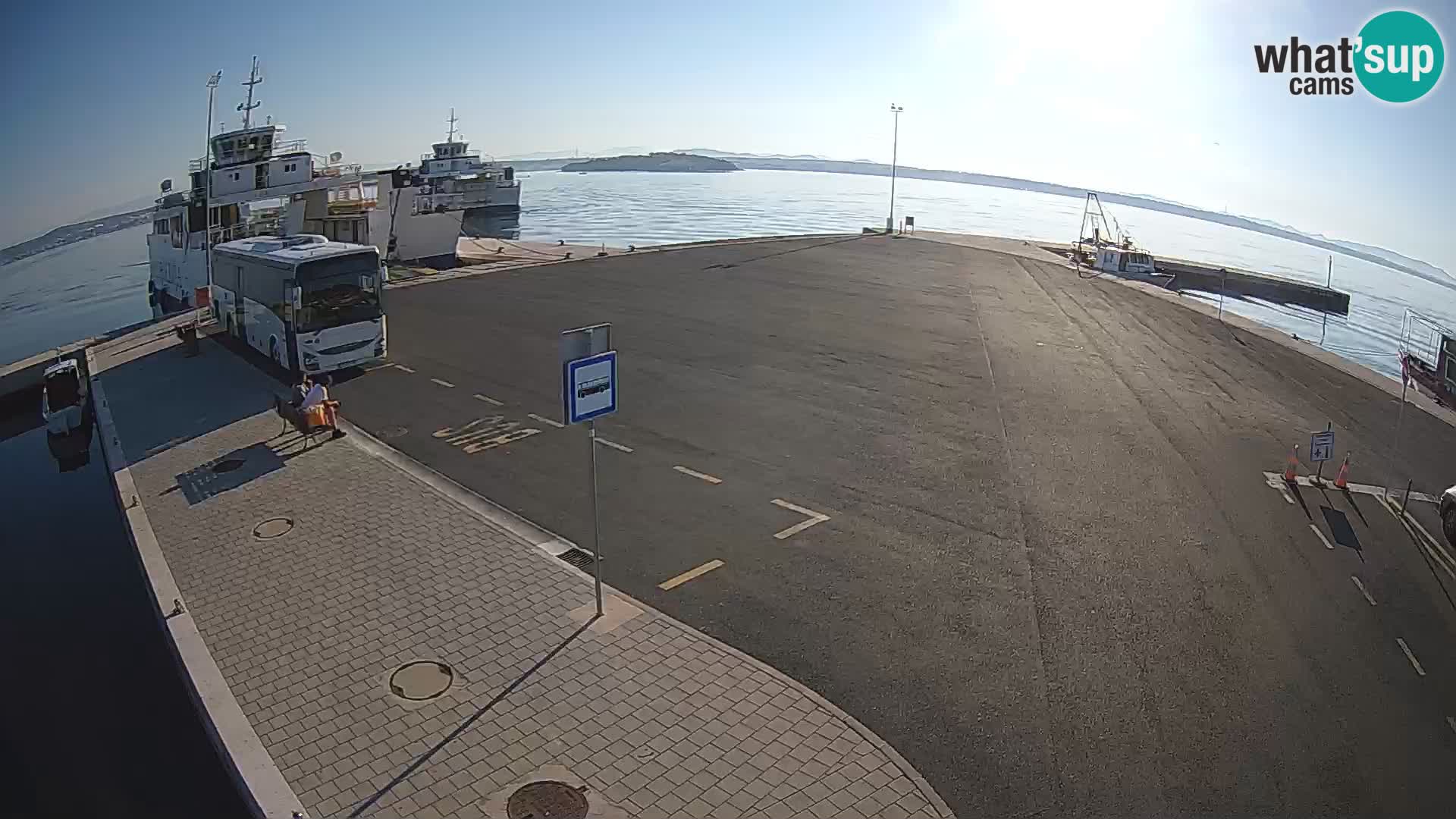 Tkon v živo – trajekt – Dalmacija – Hrvaška